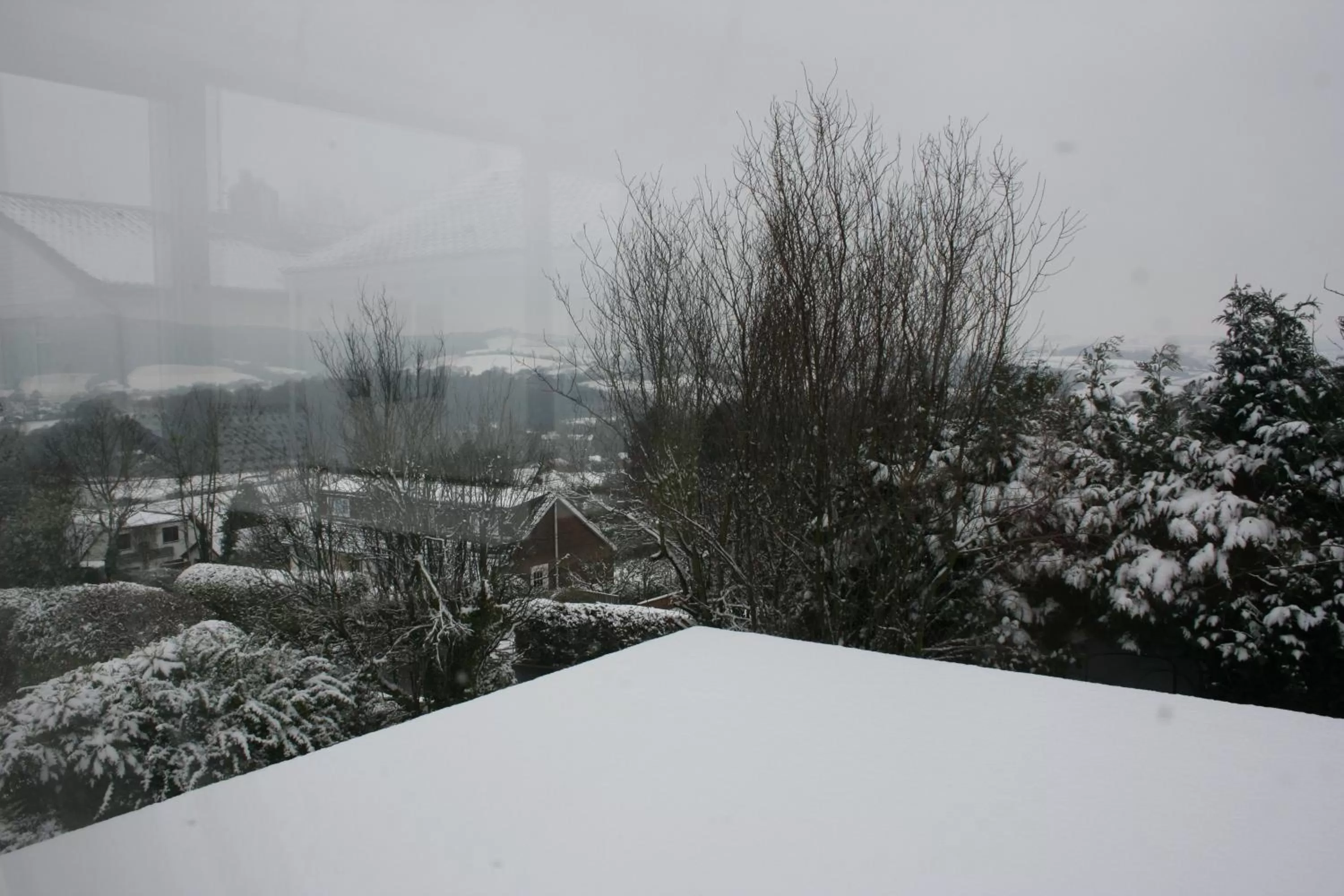 View (from property/room) in Torlands