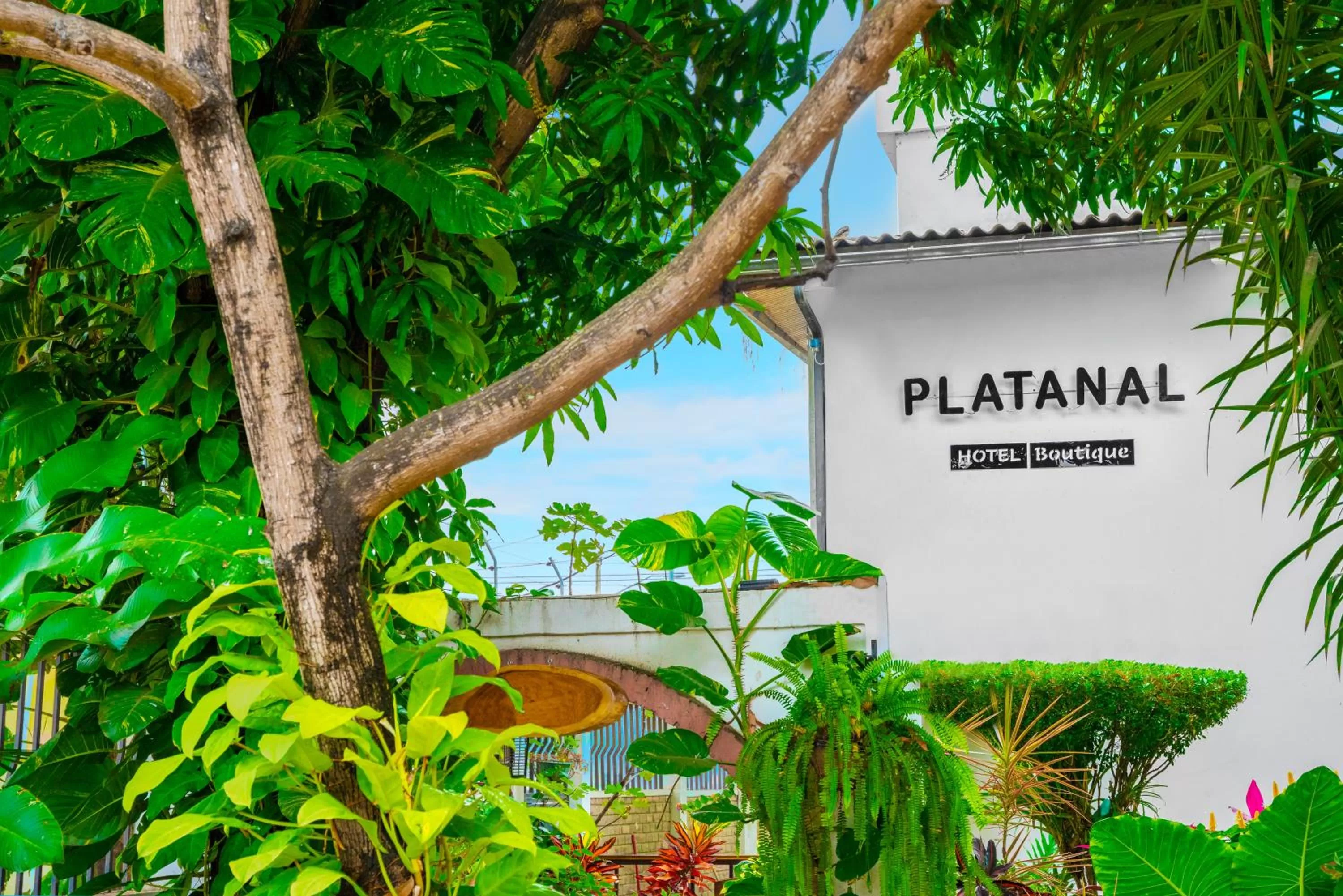 Garden, Property Logo/Sign in Hotel Boutique Platanal