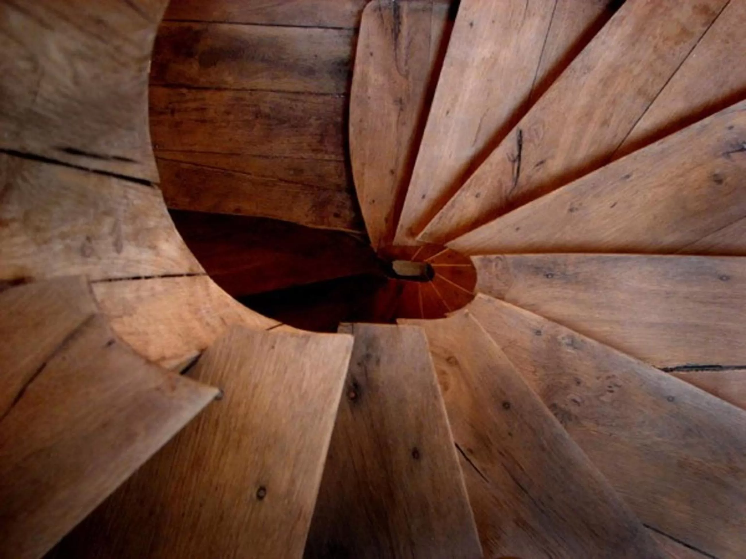 Area and facilities in Golden Lion