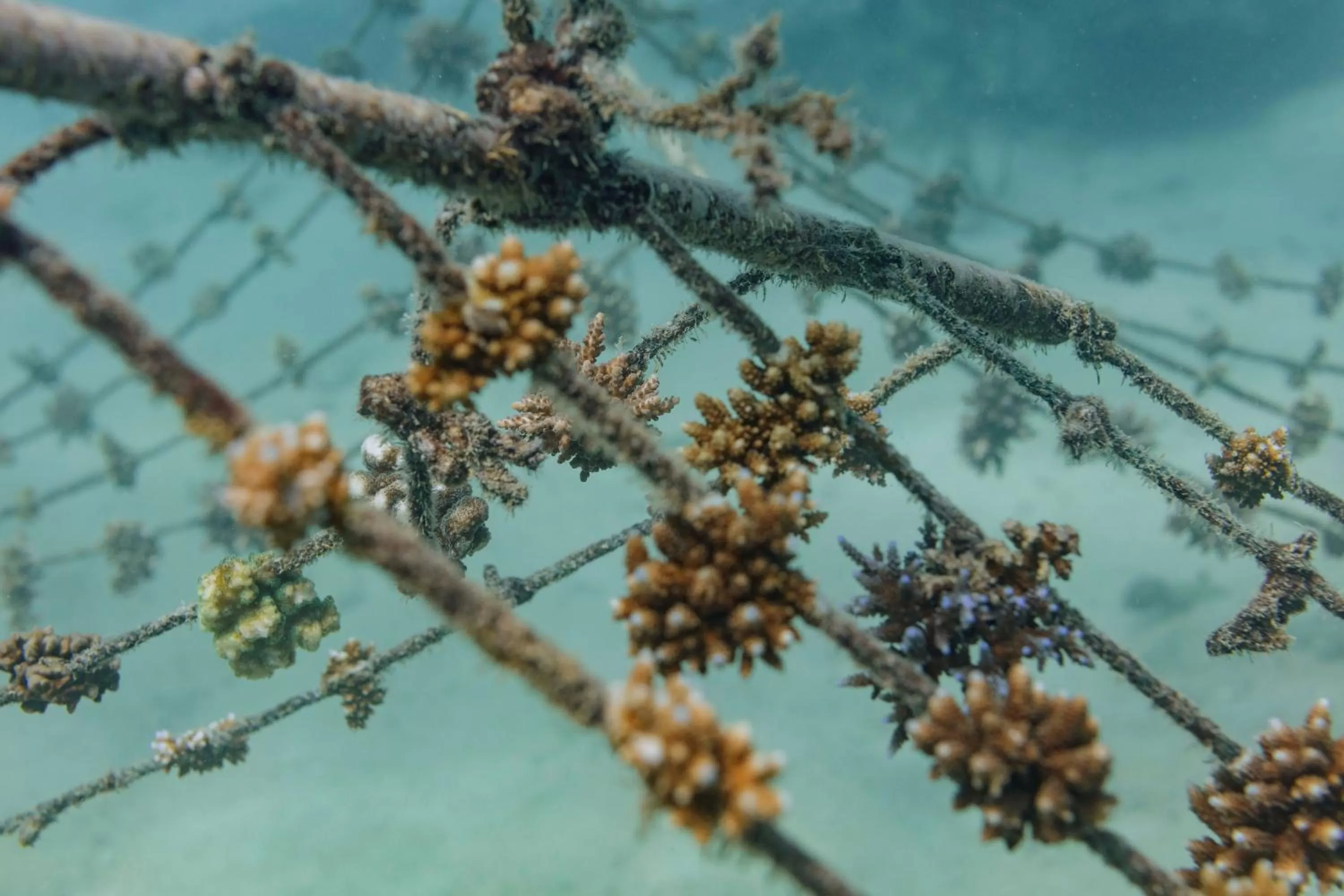 Activities in Fisherman's Cove Resort - closed for complete renovation - Visit our sister property STORY Seychelles for your stay