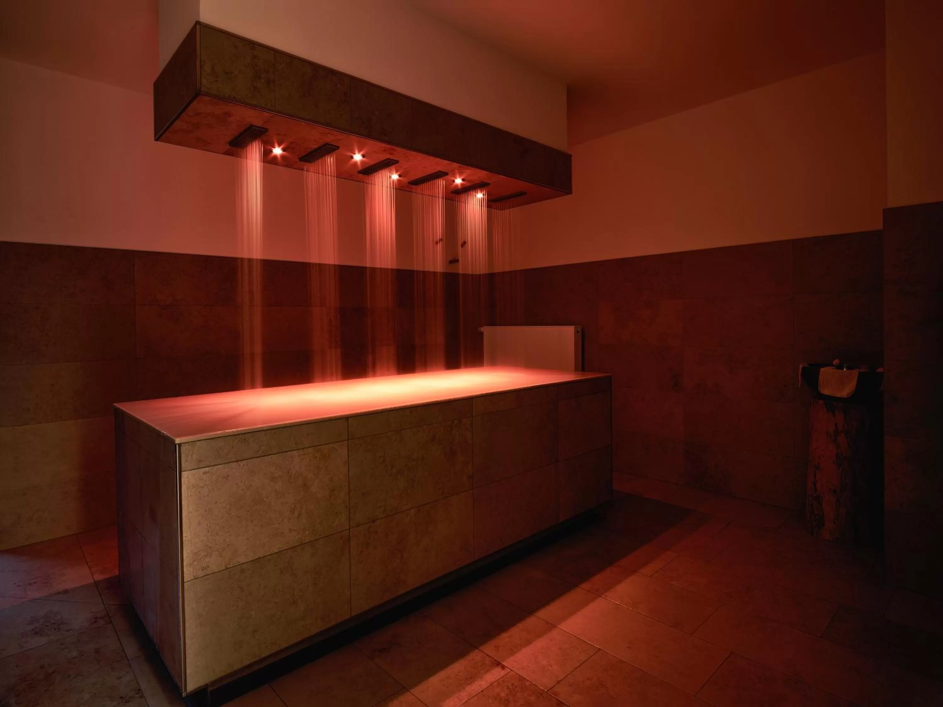 Spa and wellness centre/facilities in Romantik Hotel Hirschen