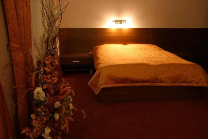 Bed in Hotel Jelen