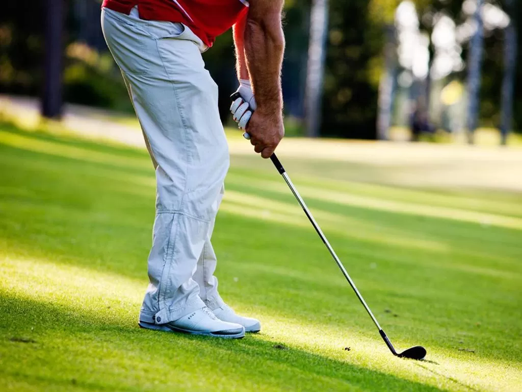 Golfcourse in De Maasparel Nextdoor Maassuites