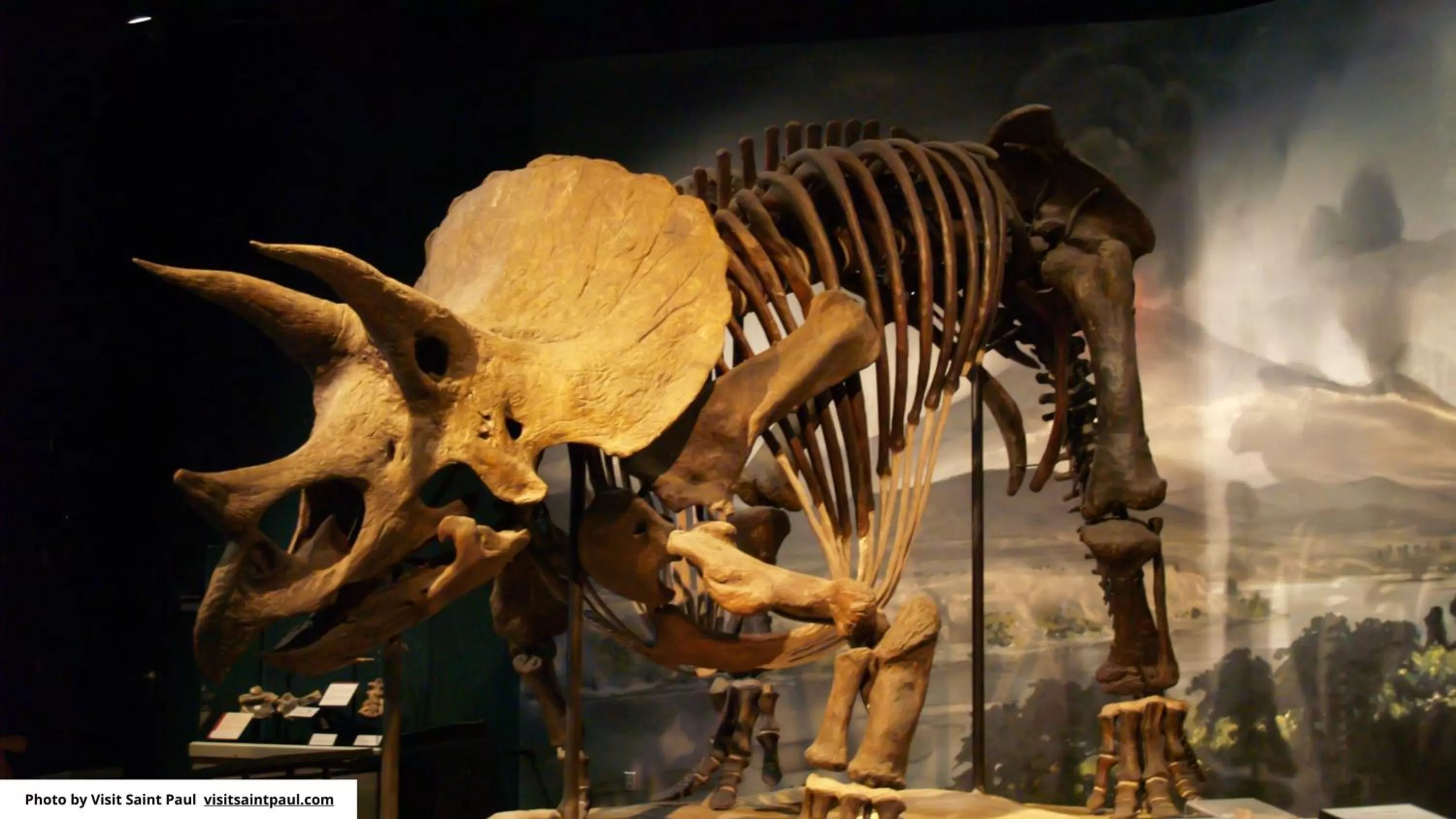 Nearby landmark in InterContinental St. Paul Riverfront by IHG