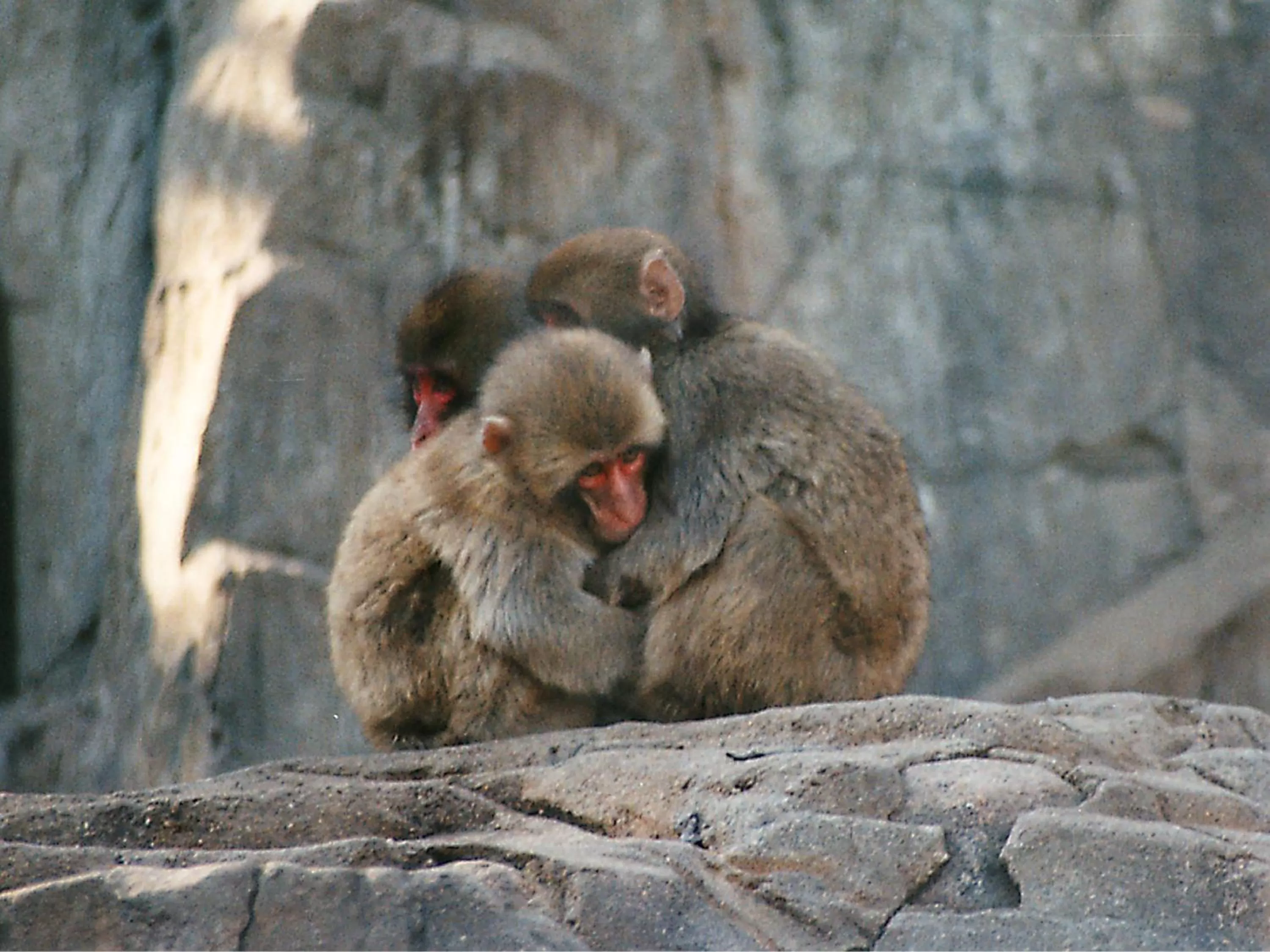 Nearby landmark in Hotel Wing International Select Osaka Umeda
