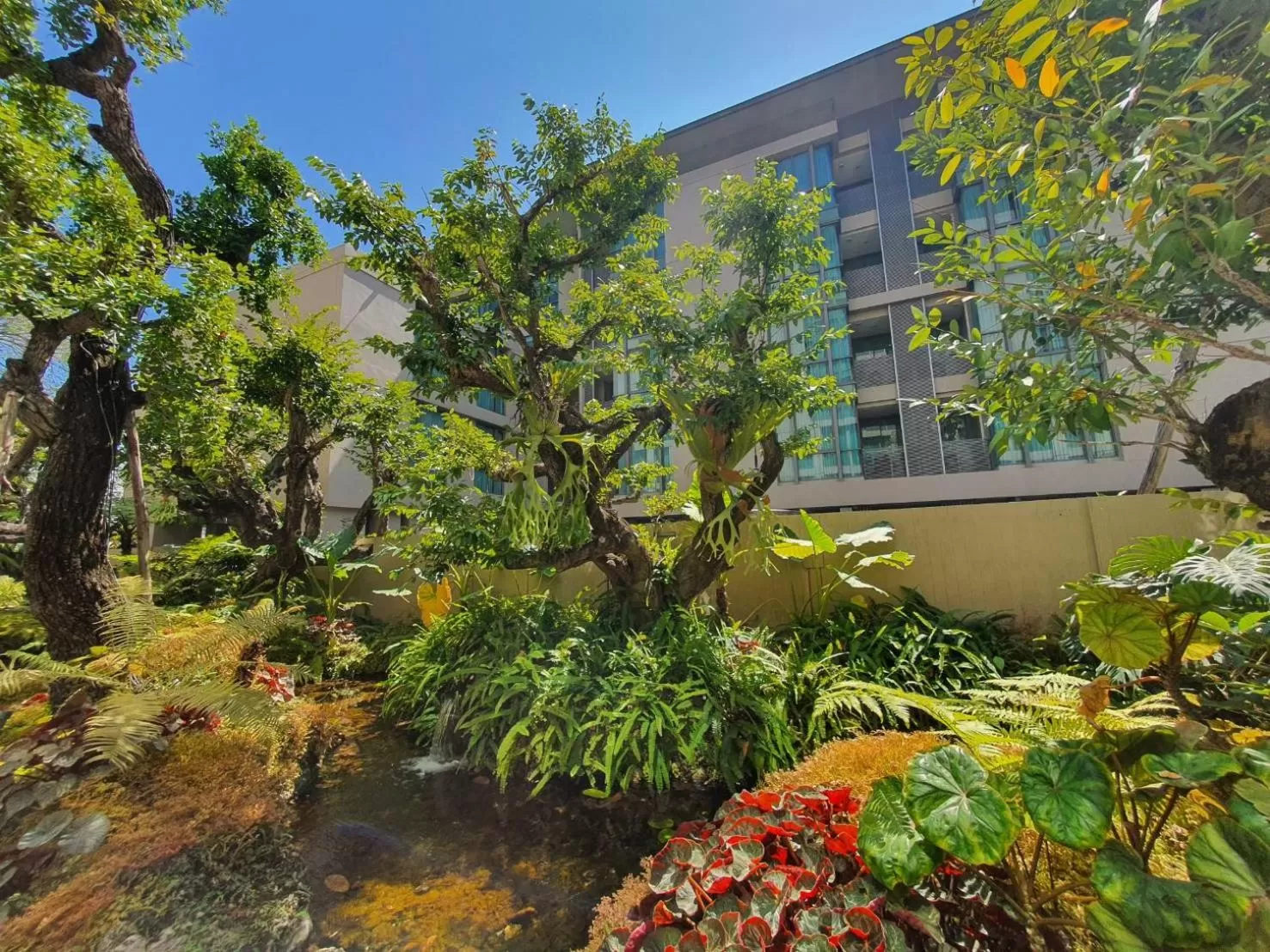 Garden in Ana Park Residence