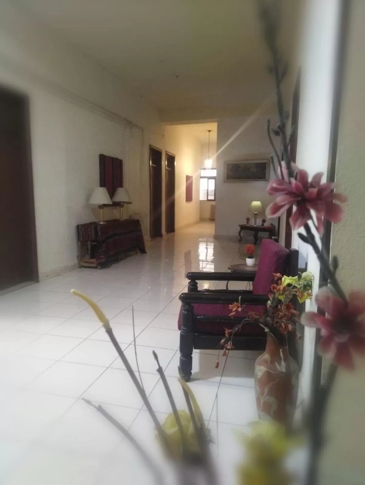 Windsurfing in New Park Hotel