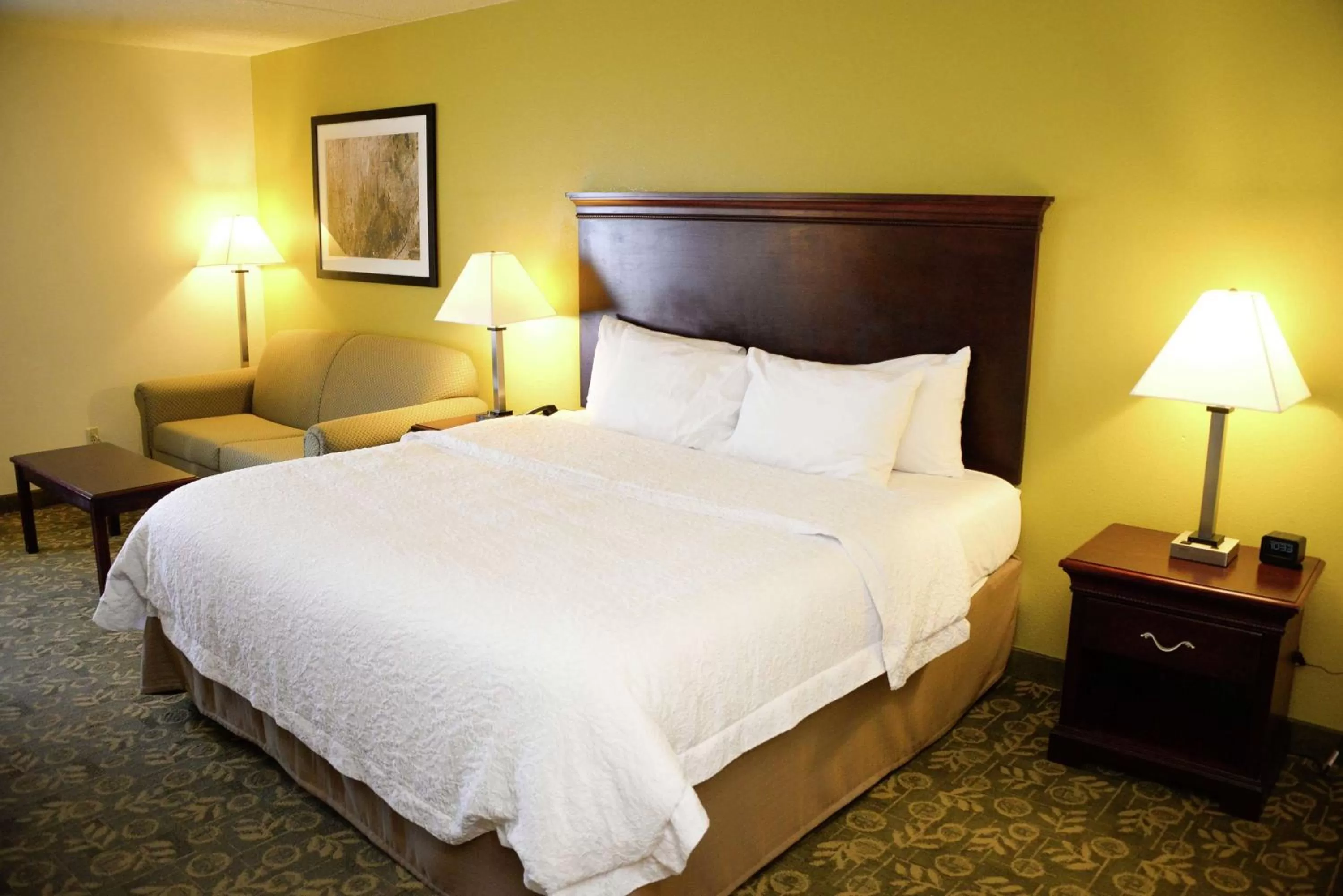 King Room- Mobility Hearing Accessible/Sofabed/Non-Smoking in Hampton Inn Frankfort