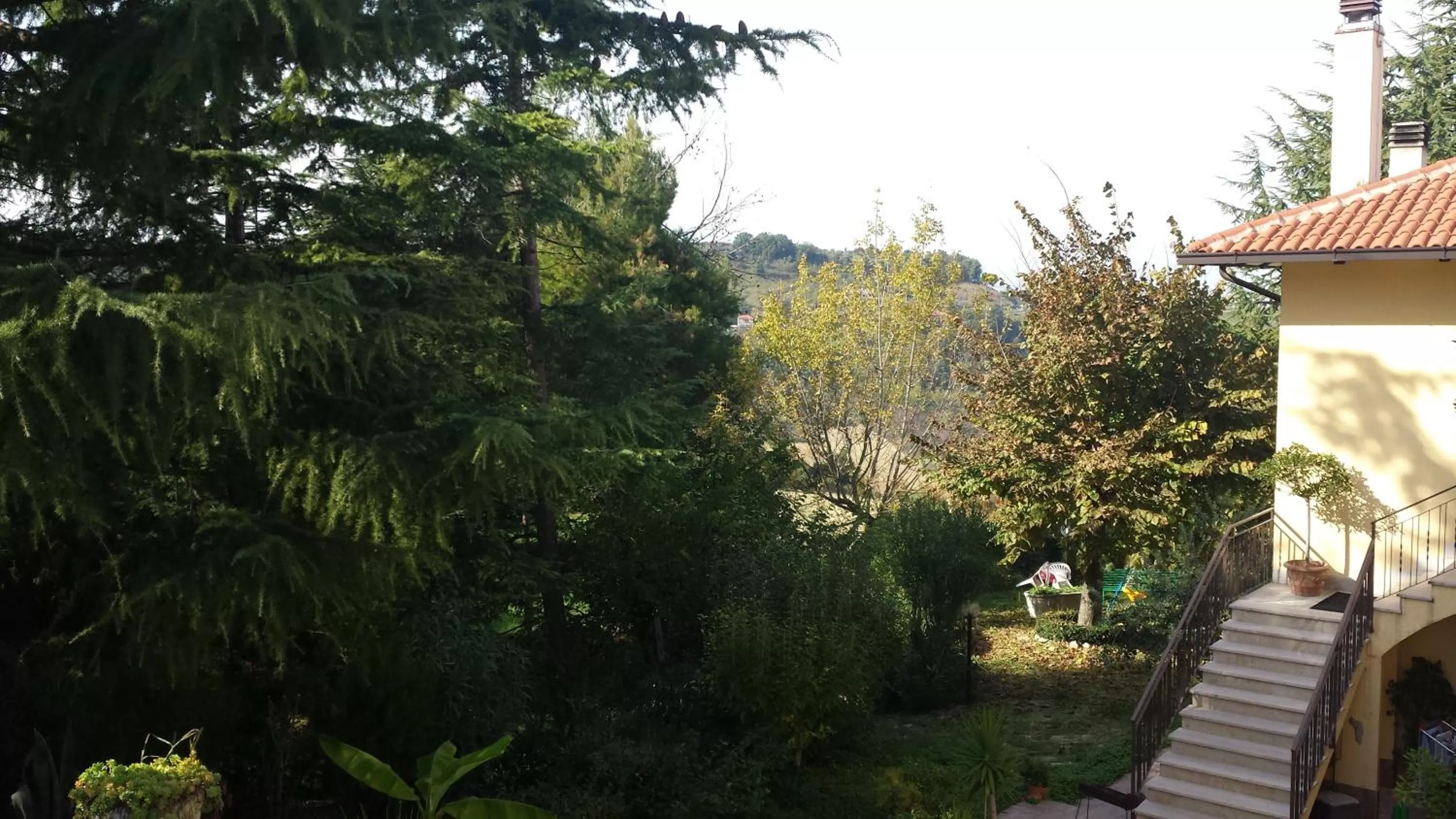 Garden in B&B Azzurra