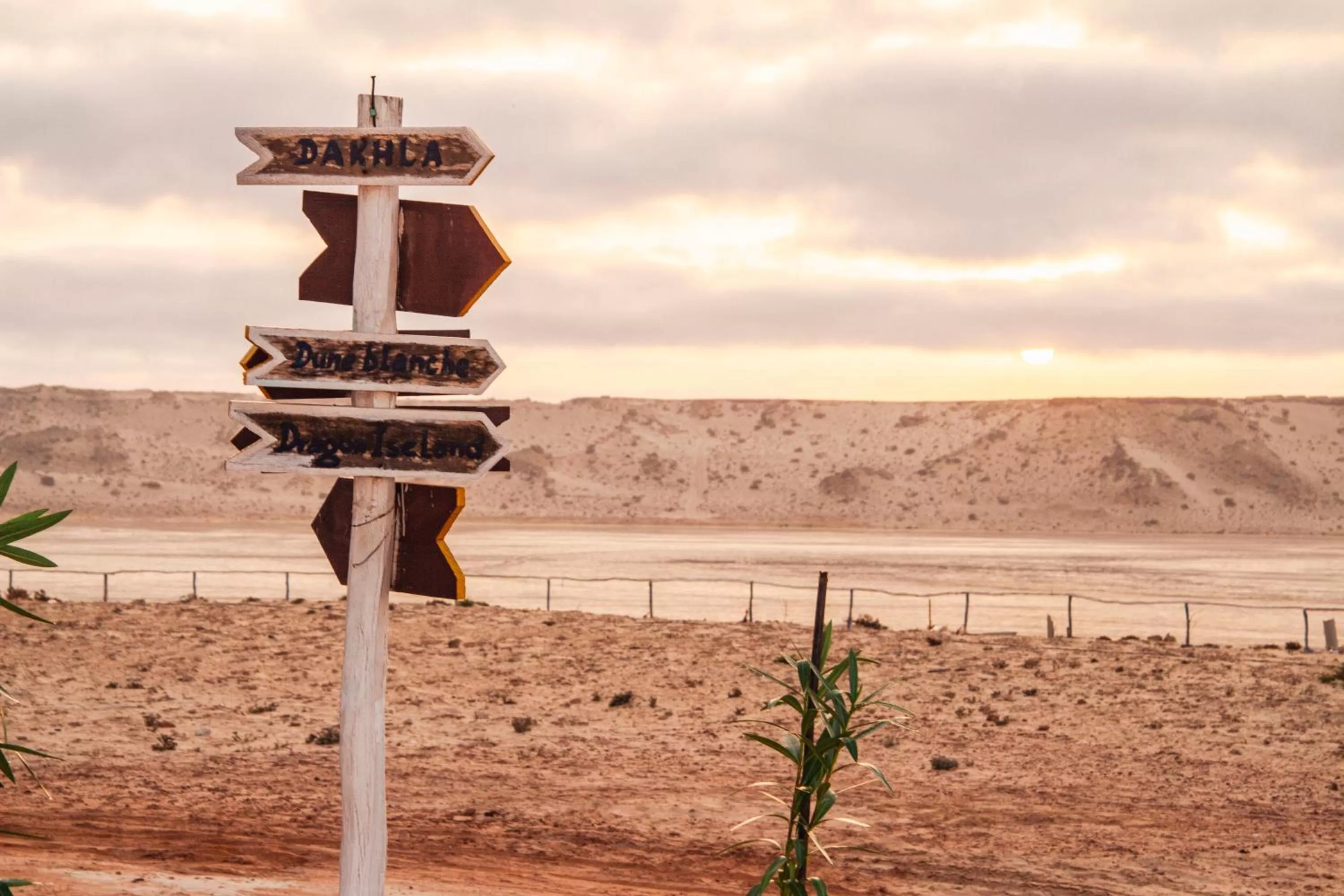 Beach in Dakhla For Stars