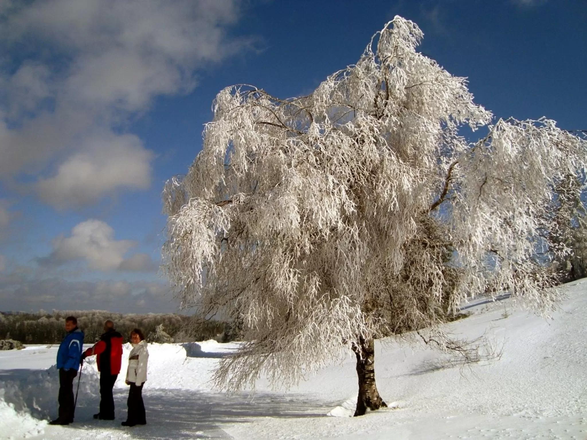 Winter in Heidehotel Hildfeld