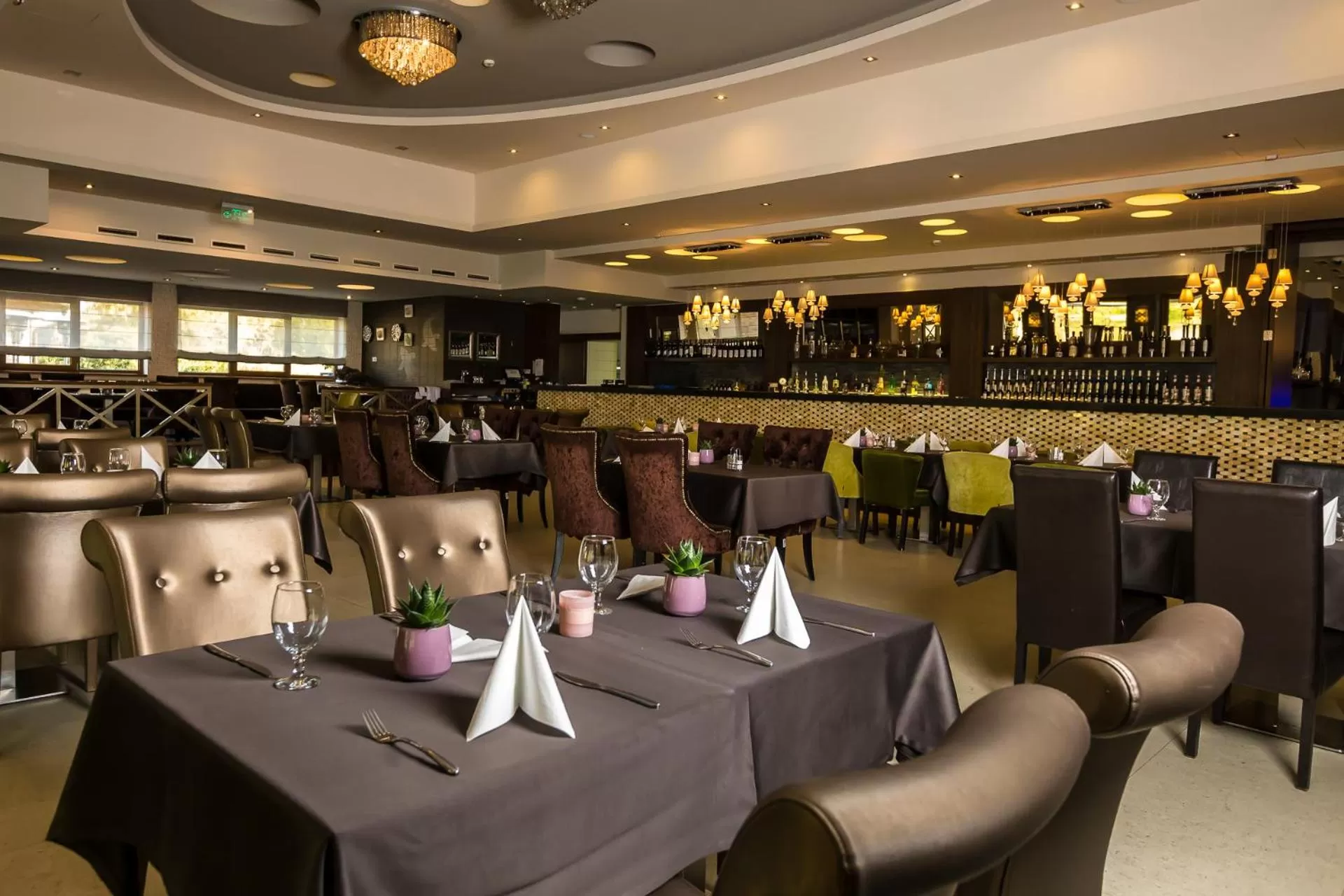 Restaurant/places to eat in Duna Garden Hotel