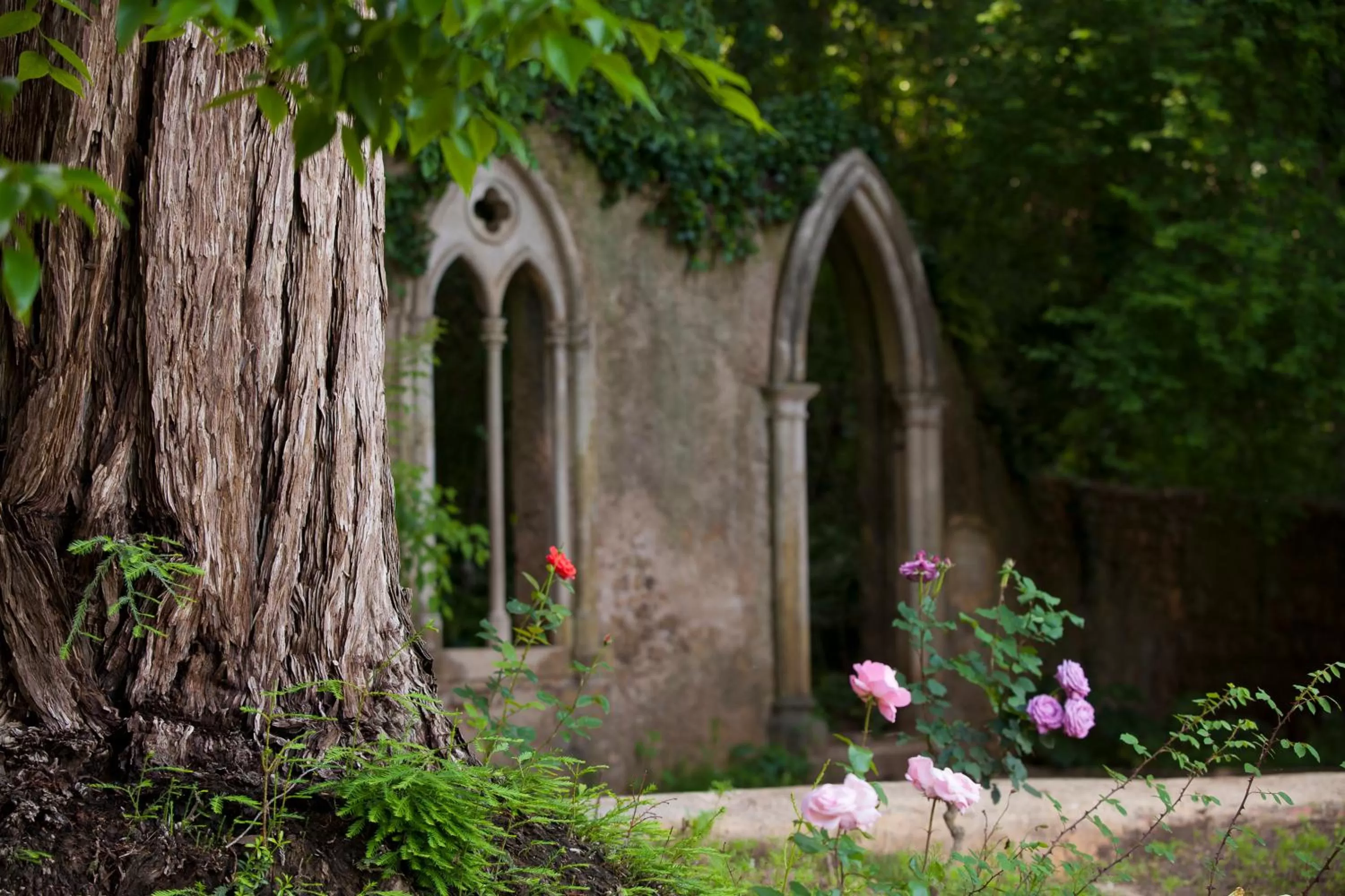 Garden in Hotel Quinta das Lagrimas - Small Luxury Hotels