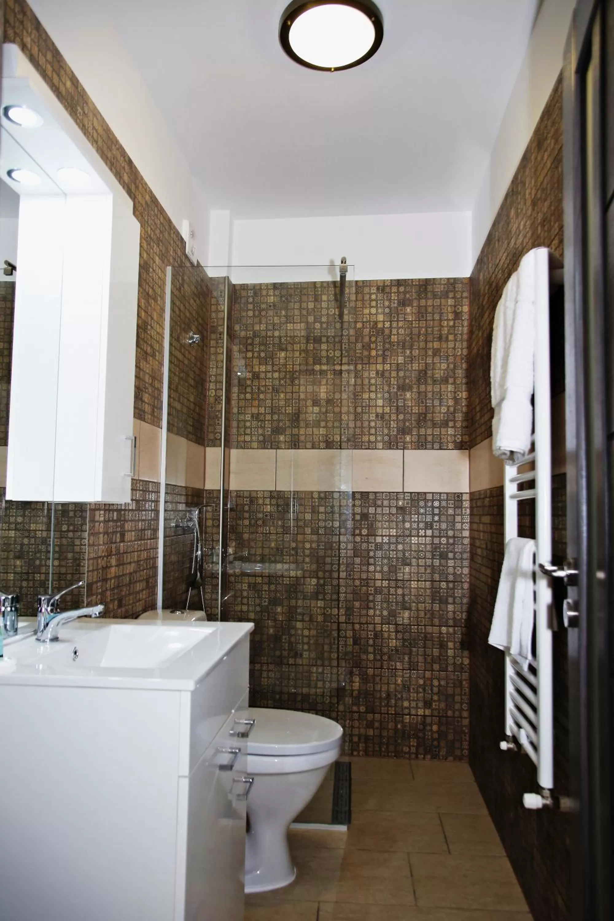 Shower in CENTRAL VIEW Craiova