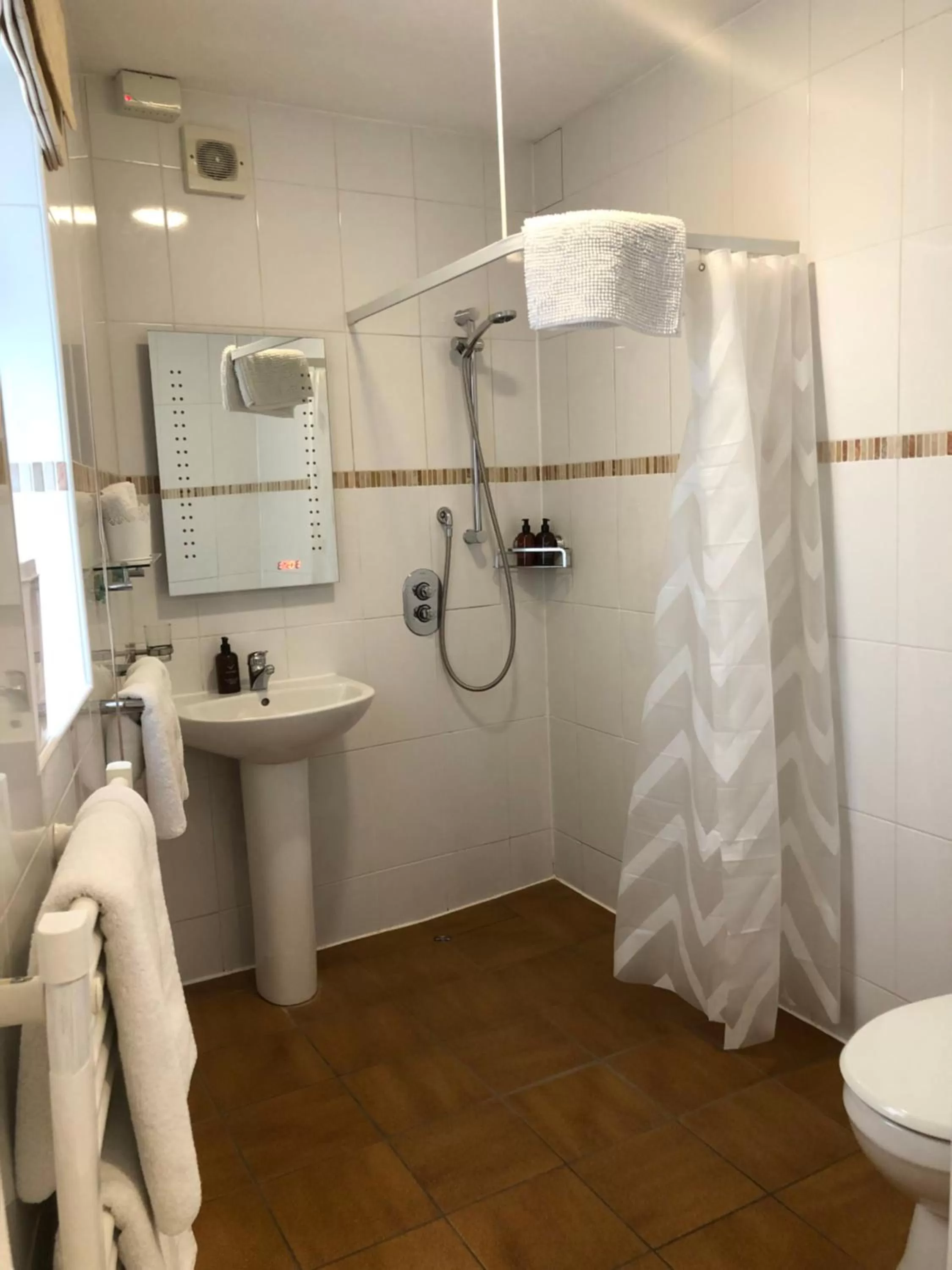 Shower in Websters Bed & Breakfast