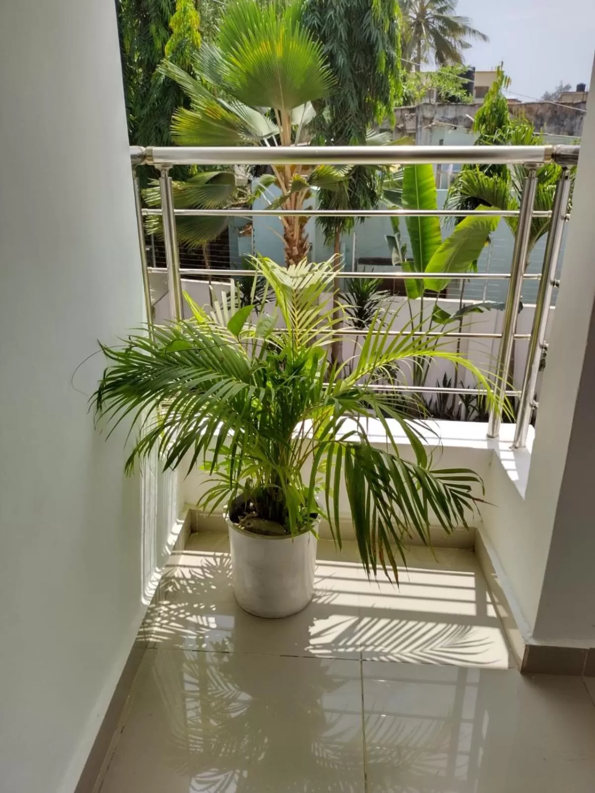 Balcony/Terrace in 6 Park Retreat