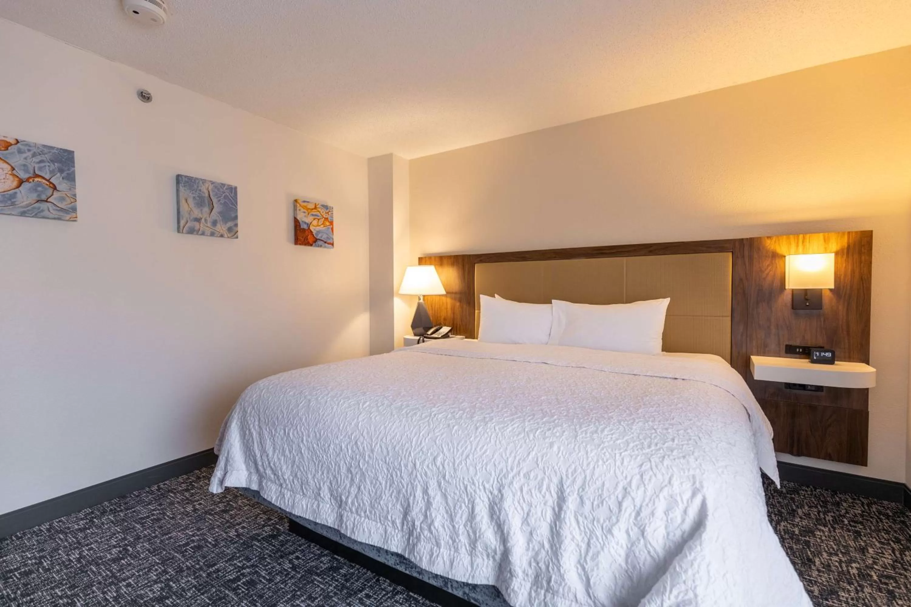 Bed in Hampton Inn by Hilton of Kuttawa Eddyville