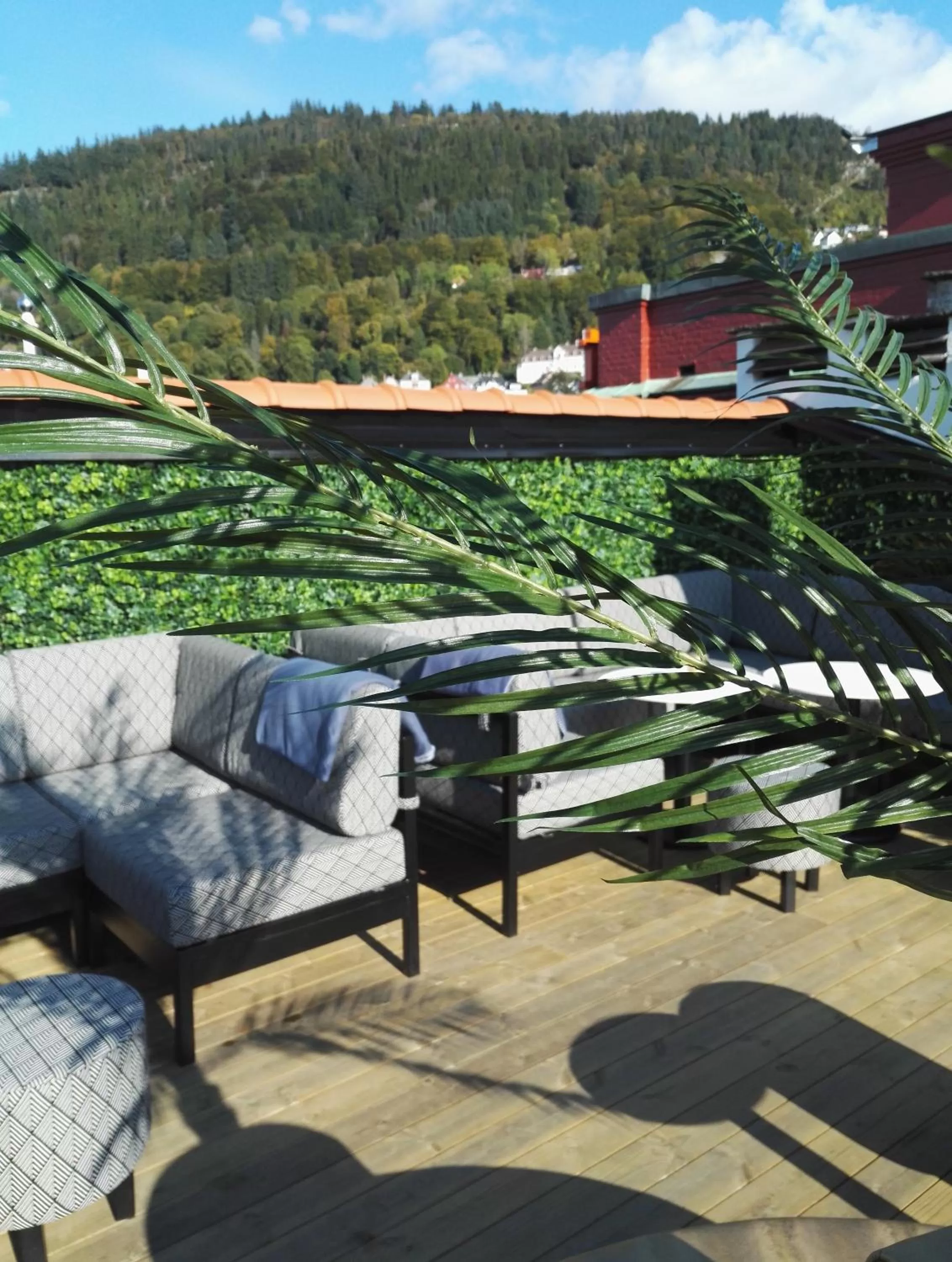 Area and facilities in Magic Hotel & Apartments Kløverhuset