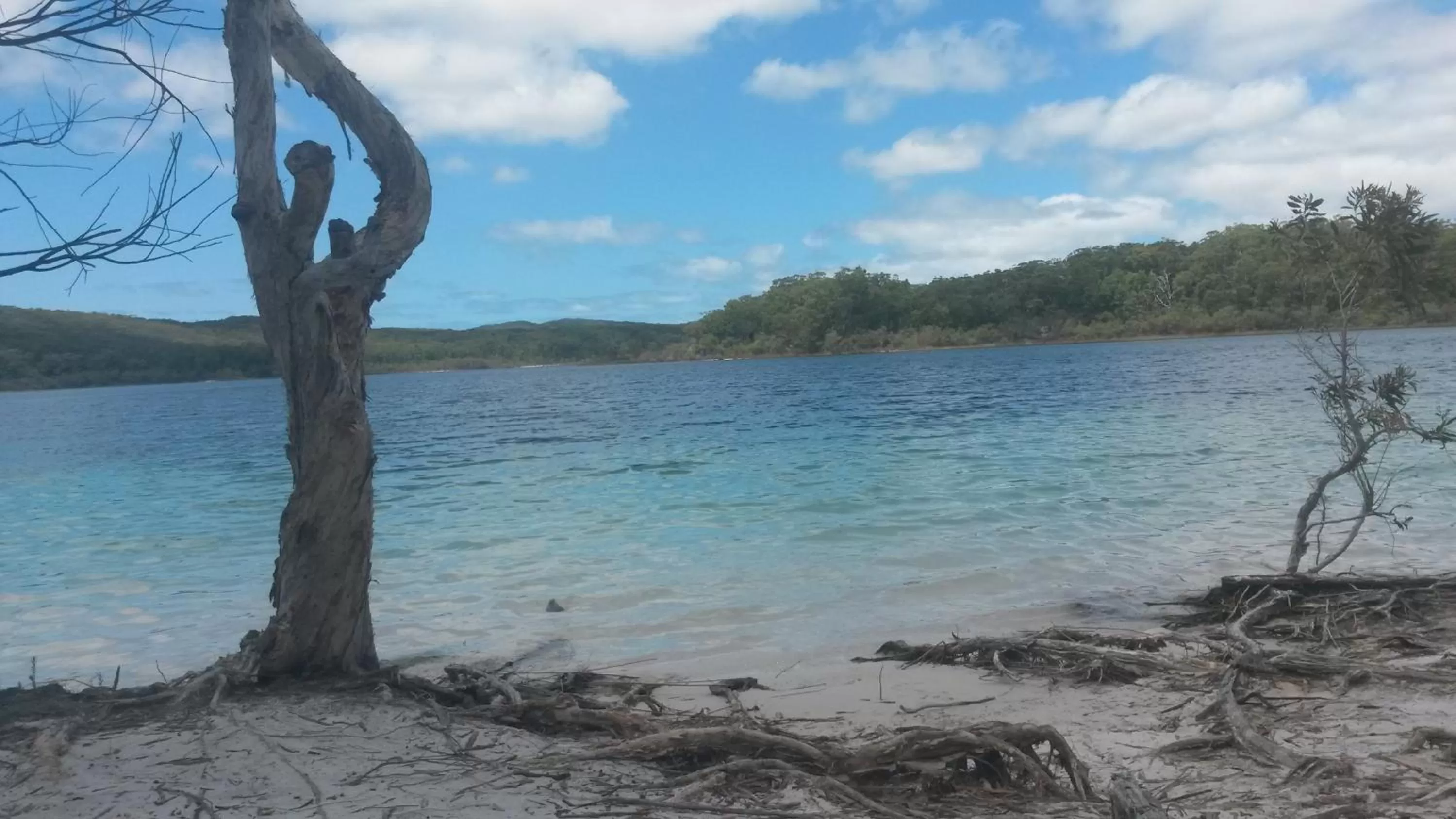 Day in Tin Can Bay's Sleepy Lagoon Motel