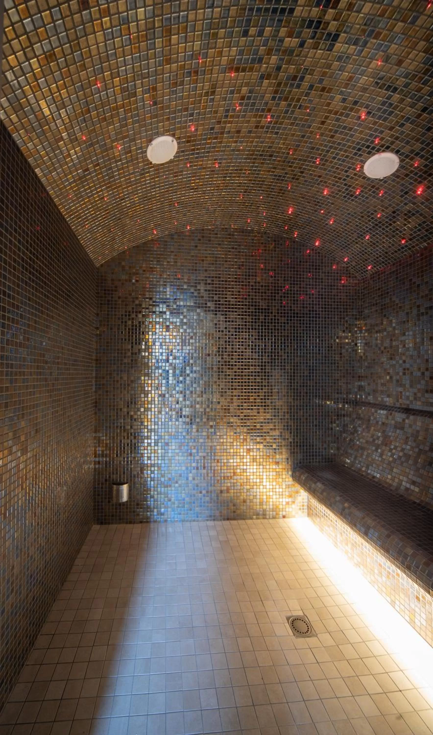 Steam room in Brame de Sologne