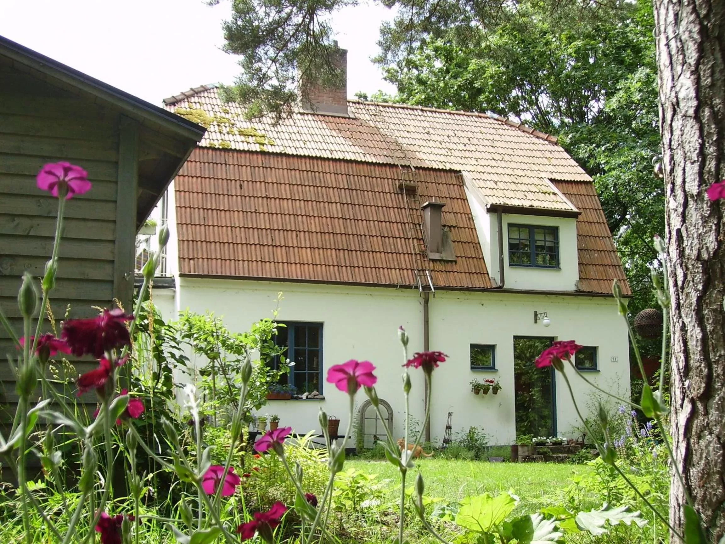 Day, Property Building in B&B Åvägen