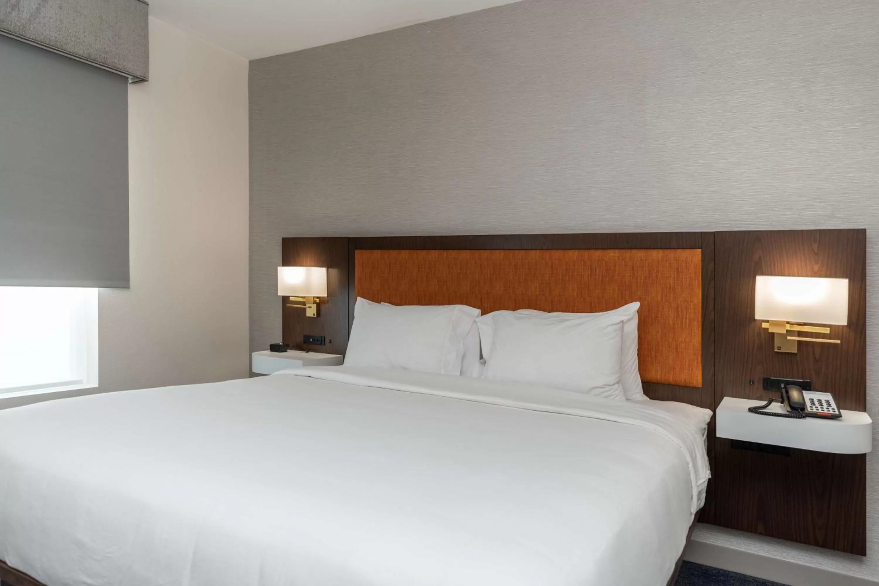 King Room with Roll in Shower - Mobility Accessible/Non-Smoking in Hampton Inn & Suites Houston Sugar Land, Tx