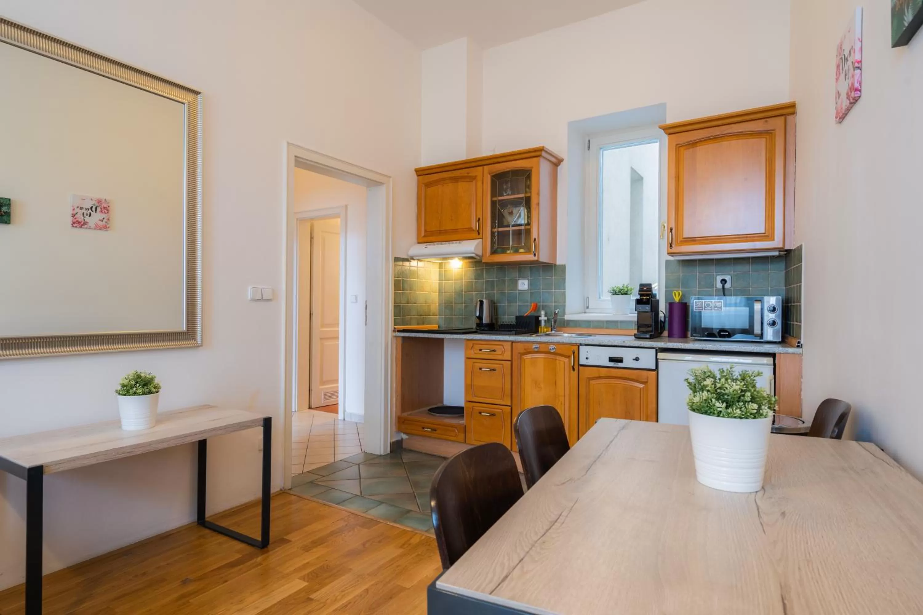 Kitchen or kitchenette in EA ApartHotel Melantrich