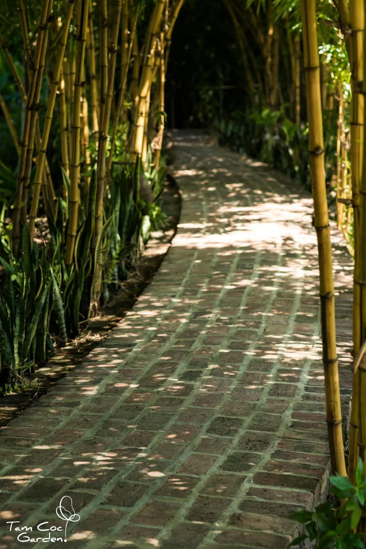 Neighbourhood in Tam Coc Garden Resort