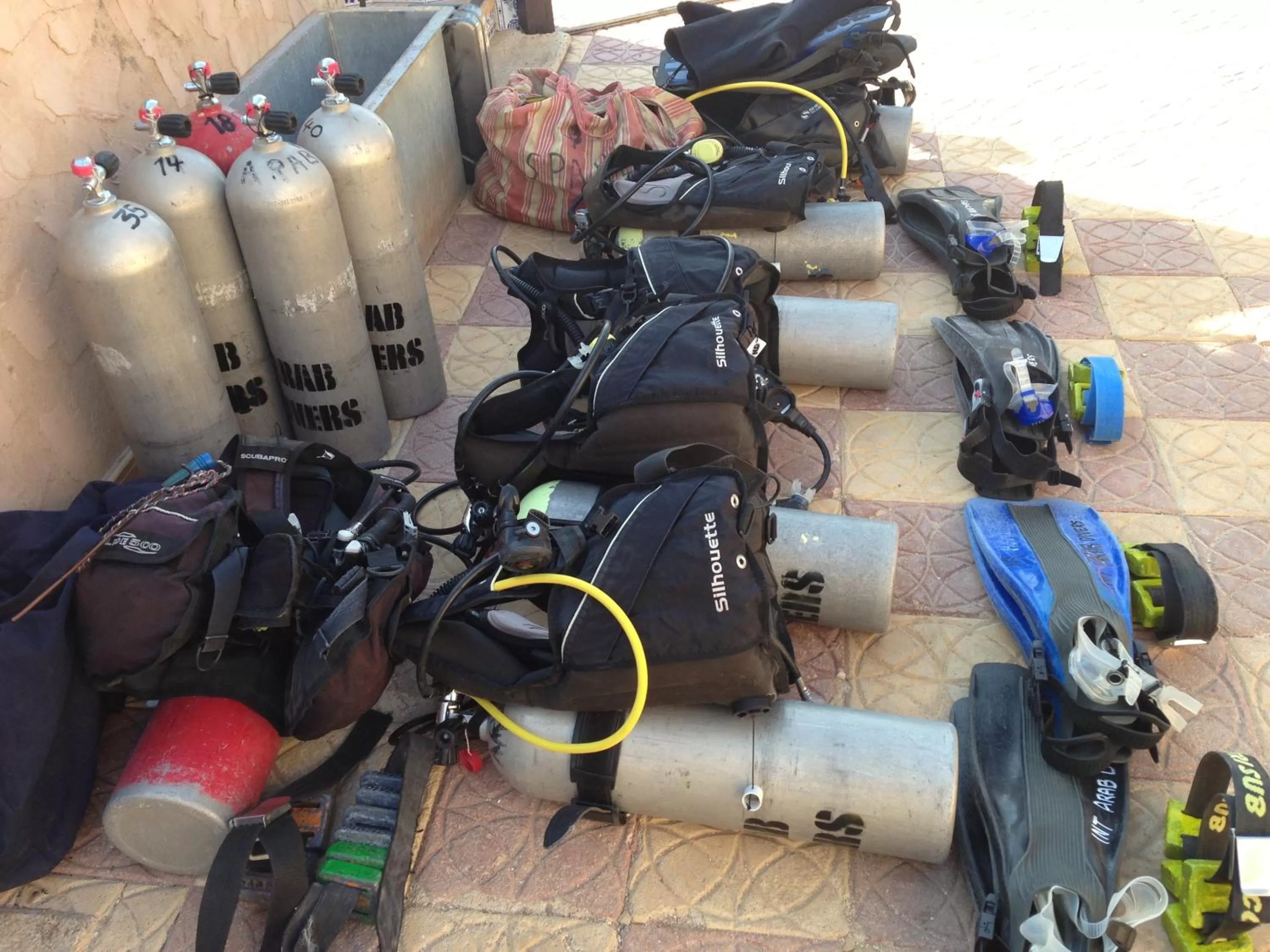 Diving, Other Activities in Arab Divers Dive Center and Bed & Breakfast