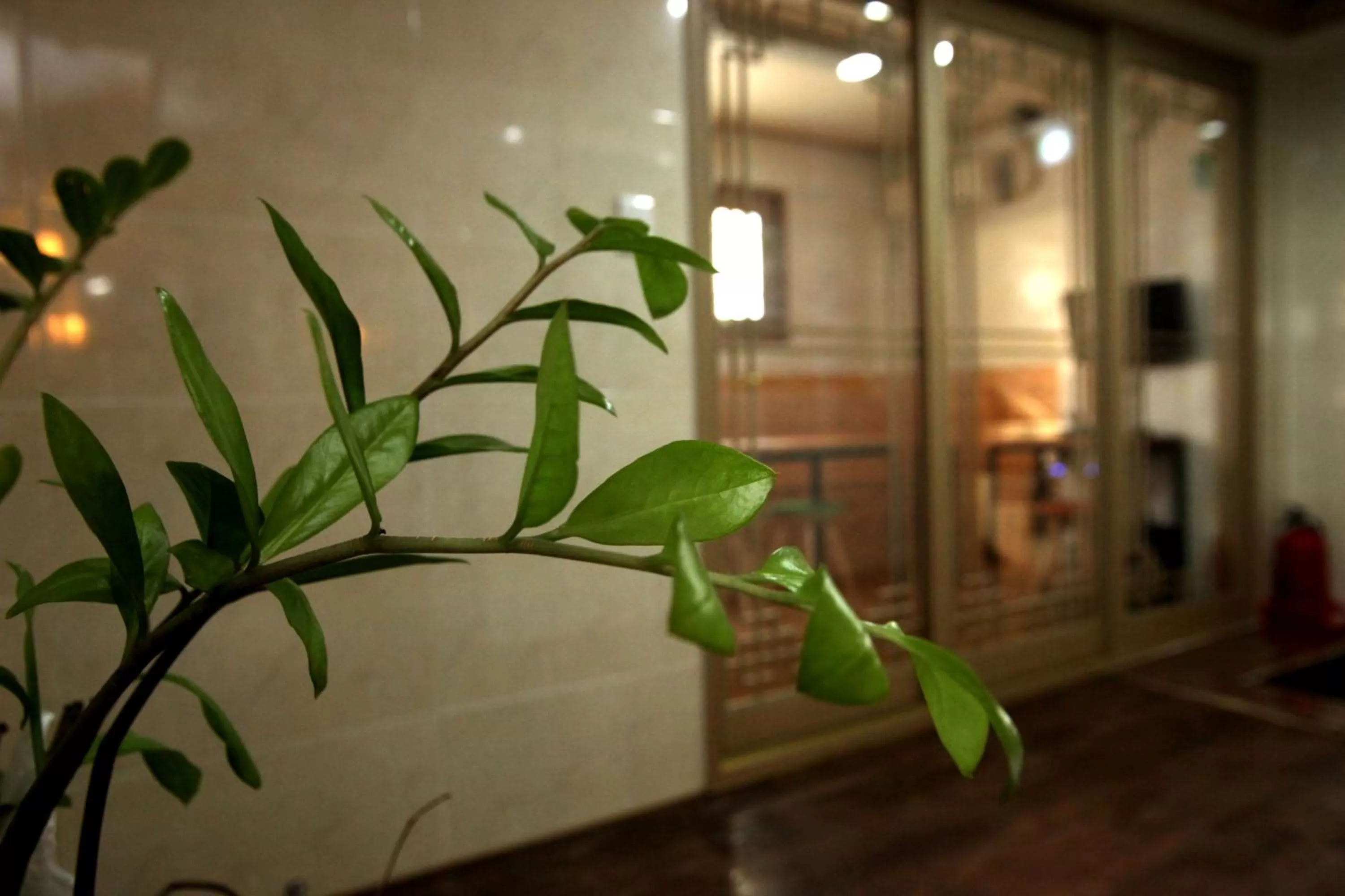 Other in K-POP Residence Myeongdong 1