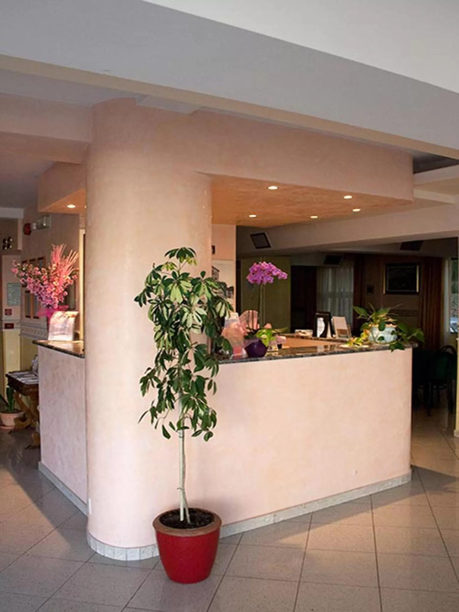 Lobby or reception in Hotel Monica