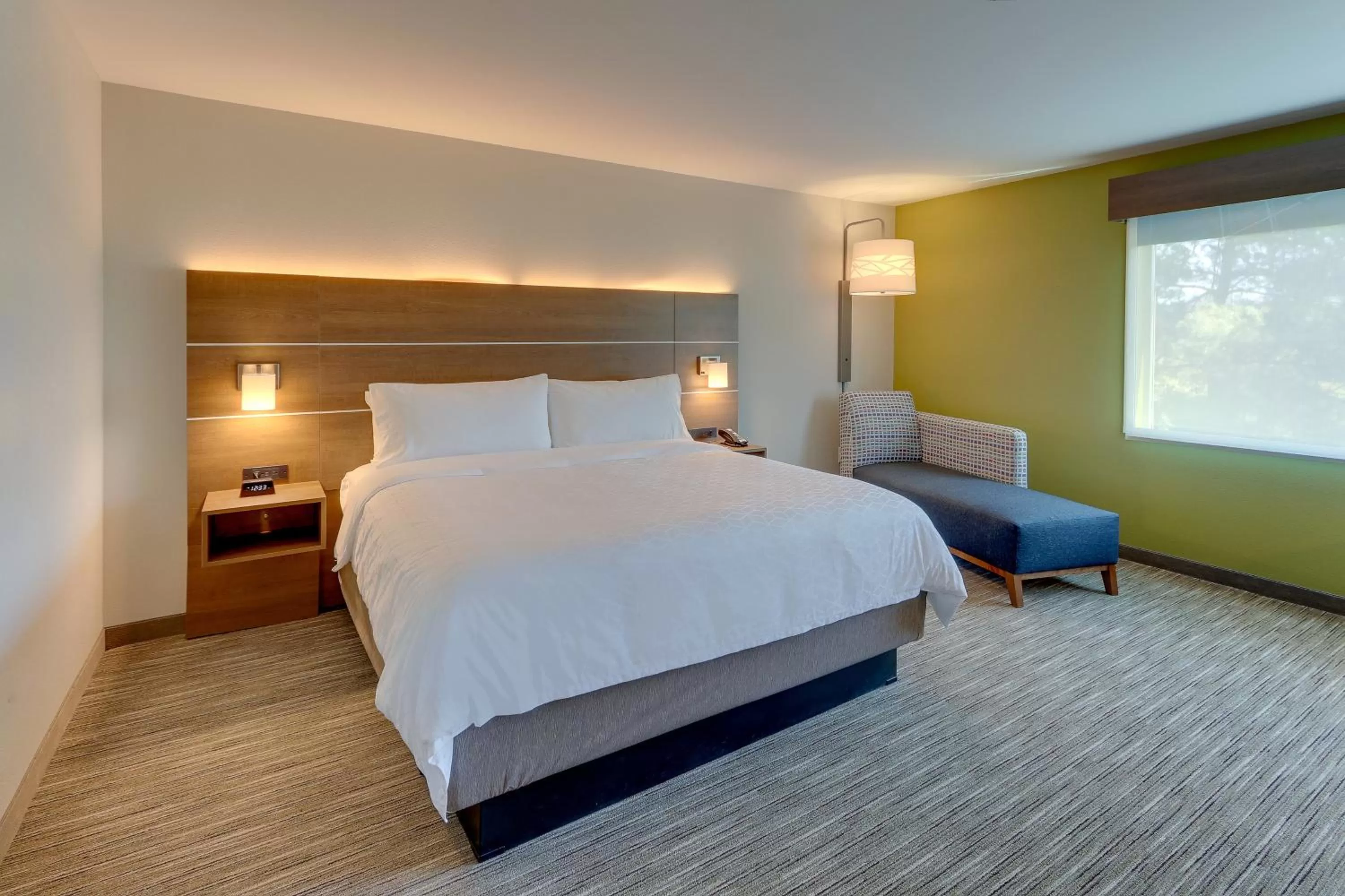 Photo of the whole room, Bed in Holiday Inn Express & Suites - Roanoke – Civic Center