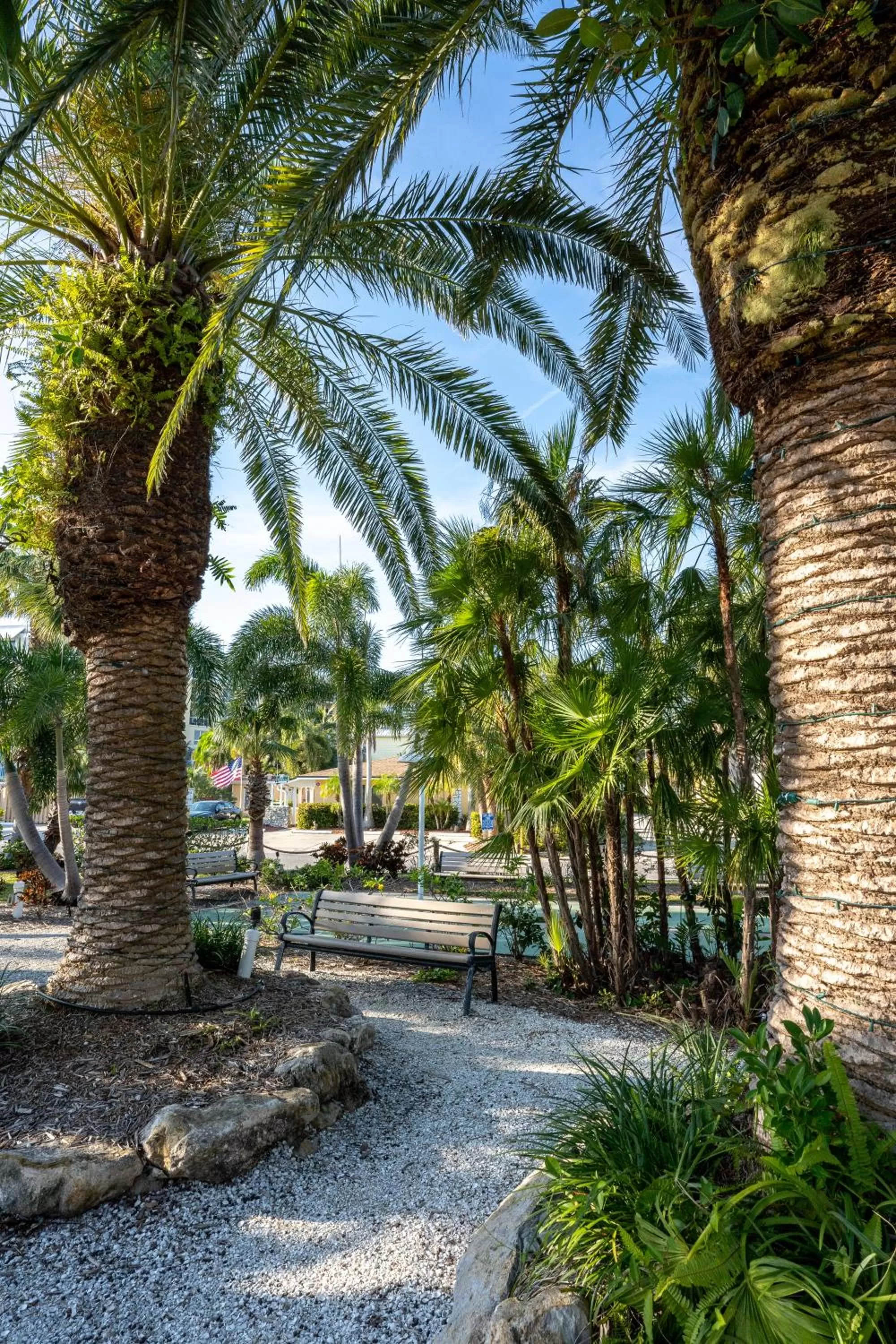 Garden in The Capri at Siesta