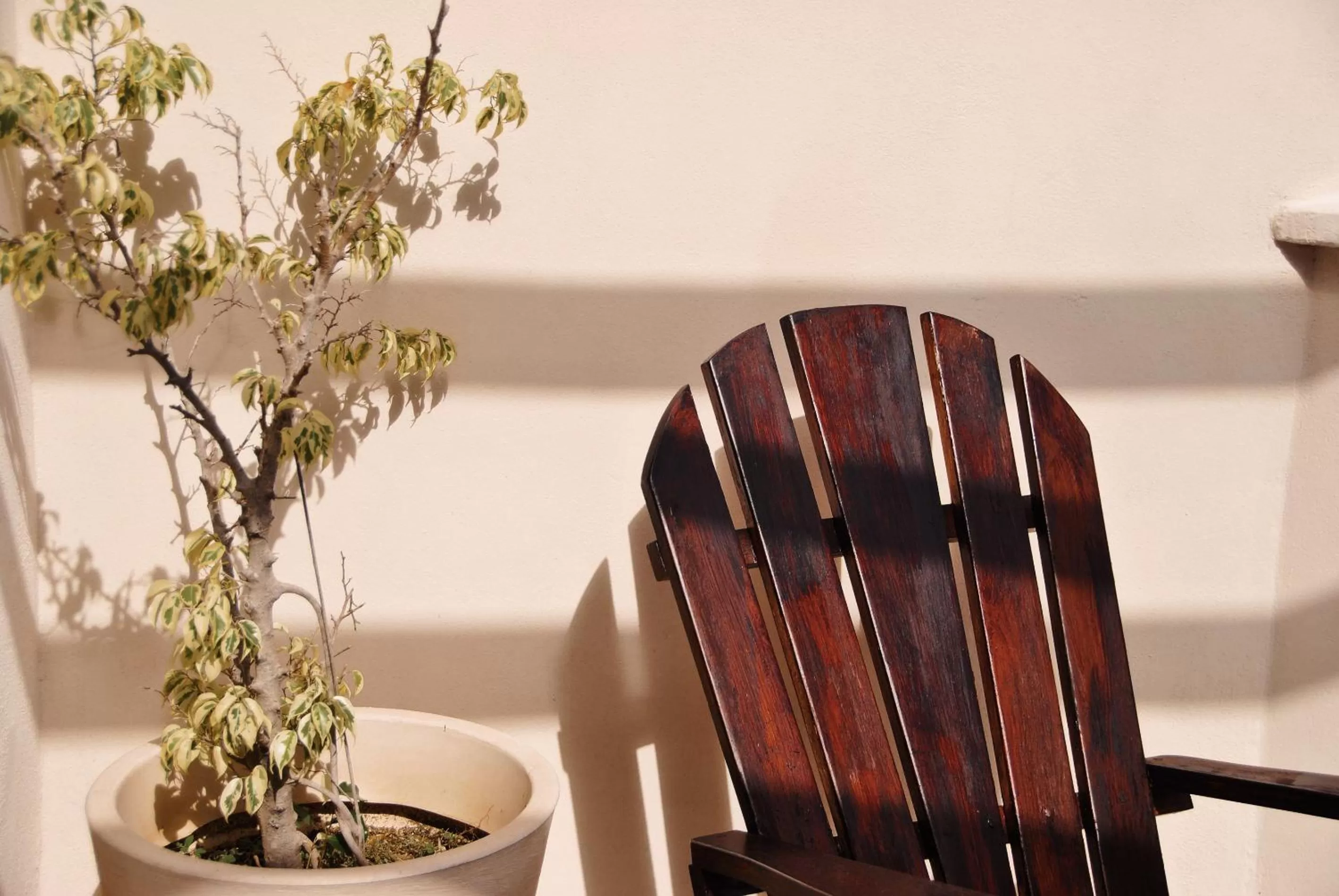 Decorative detail in Boutique Hotel Posada 06 Tulum