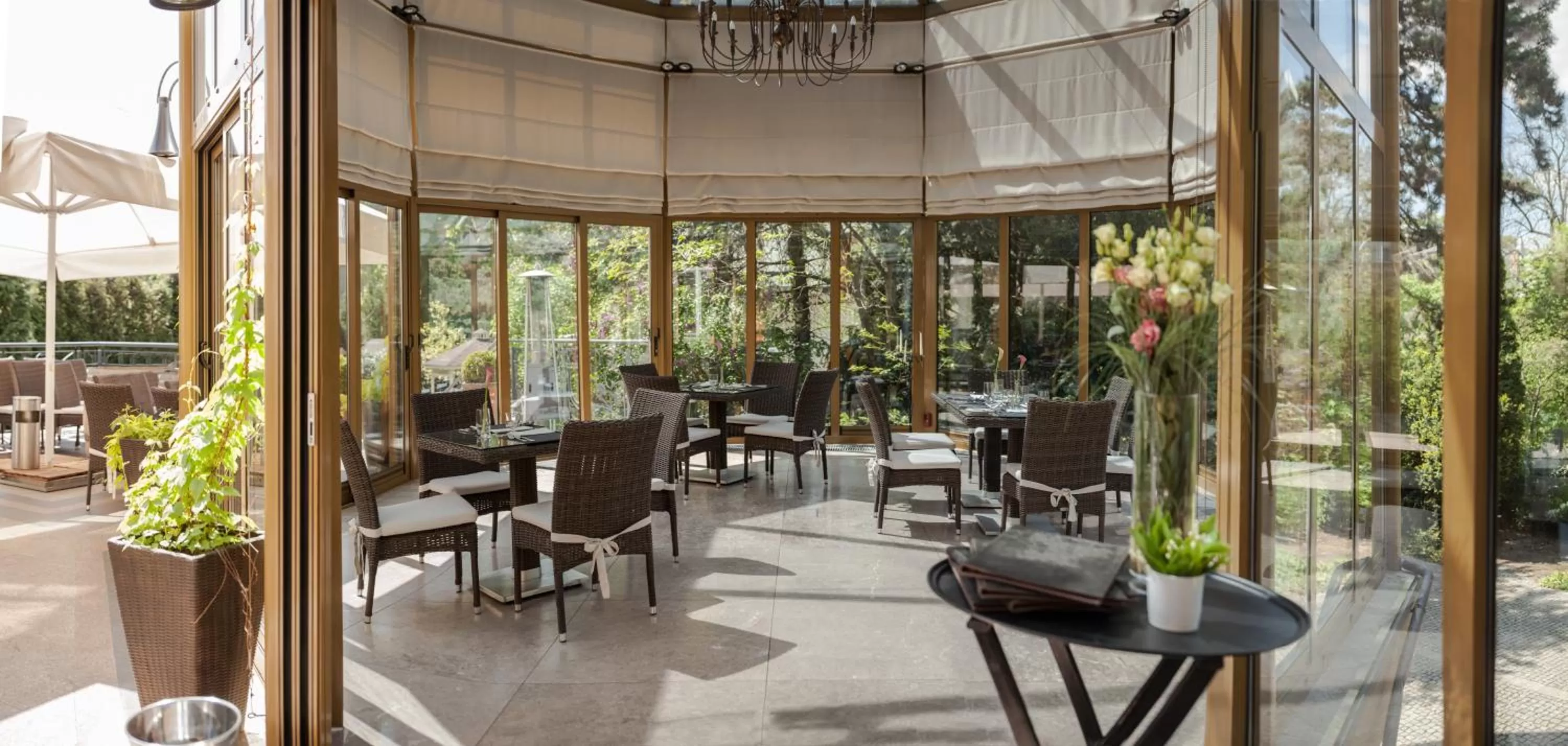 Patio, Restaurant/Places to Eat in Grape Hotel