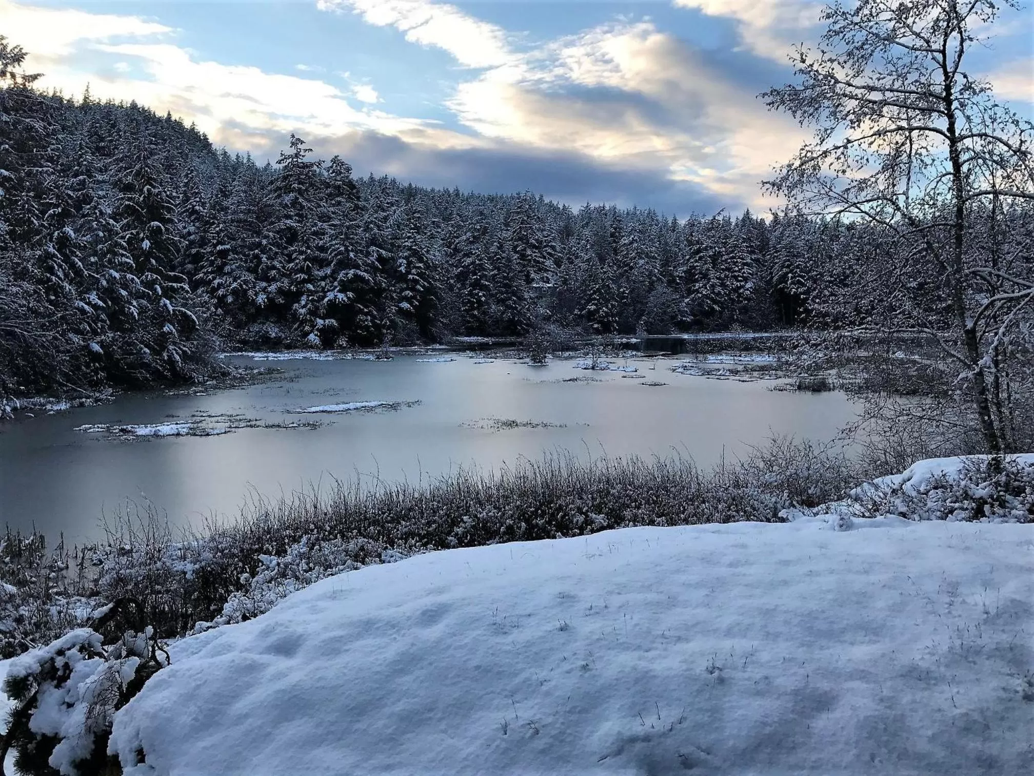 Natural landscape in Otter's Pond Bed and Breakfast