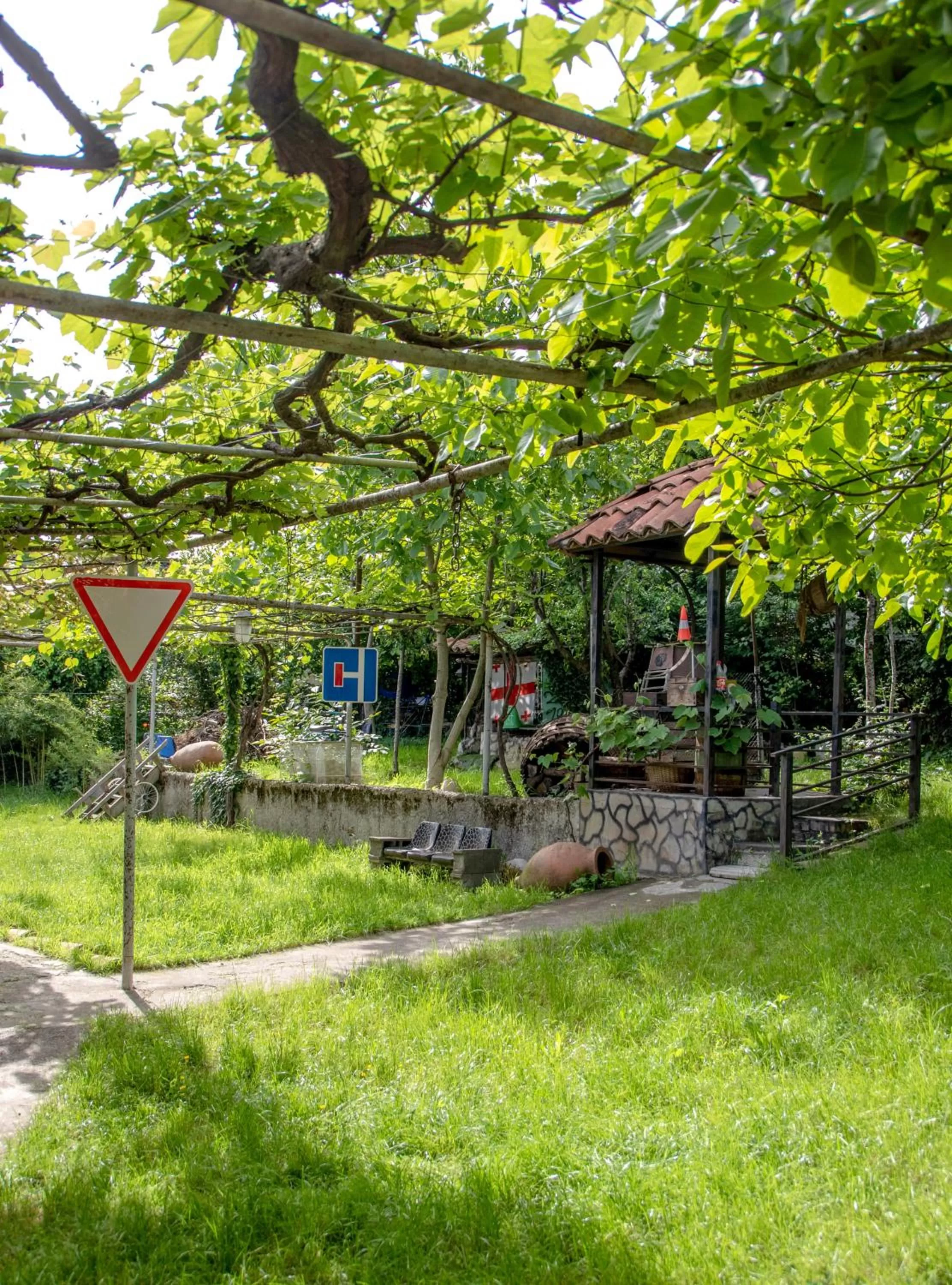 Day, Garden in Qilimcha's Guesthouse