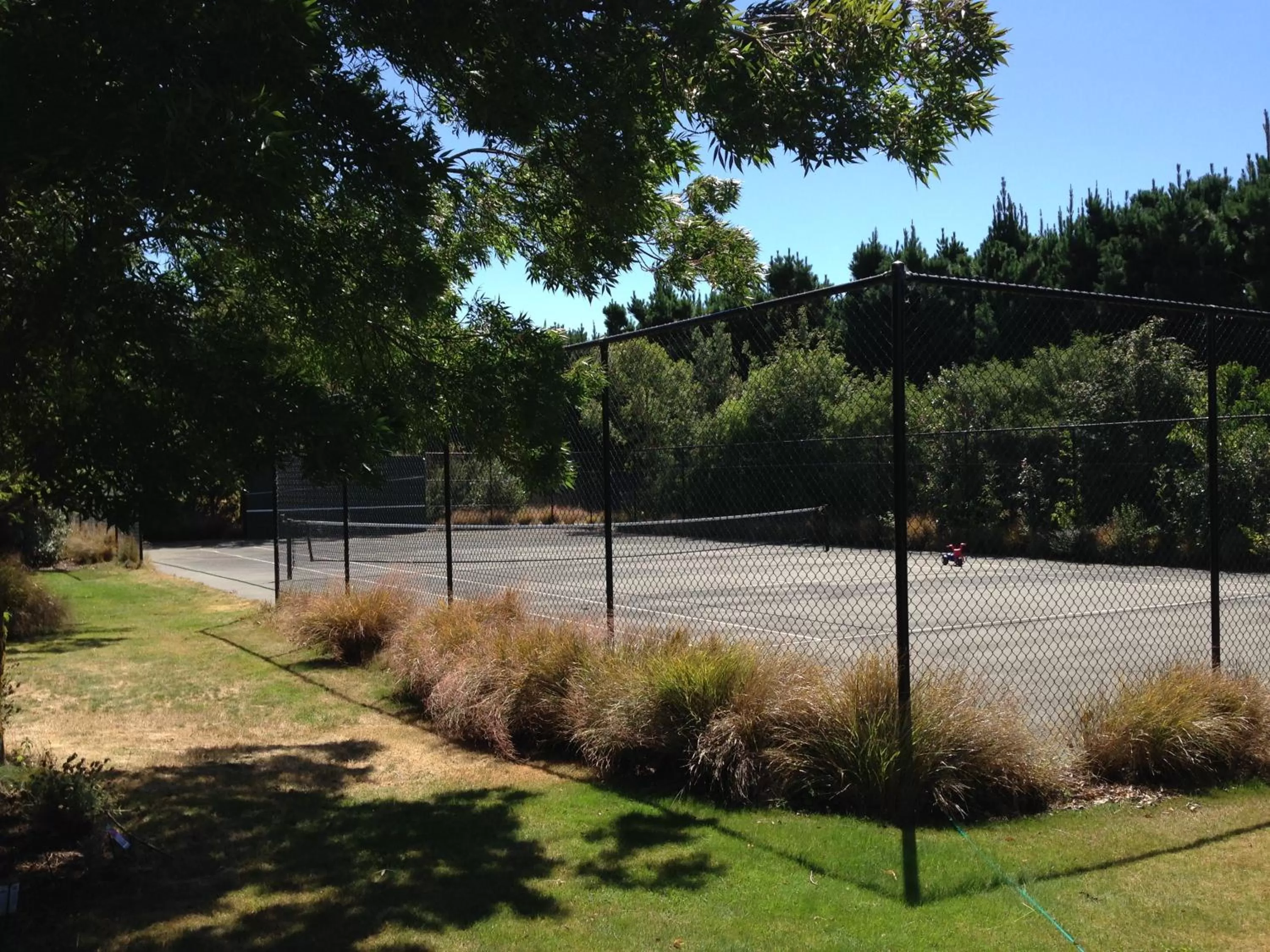 Day in Newlands Bed and Breakfast