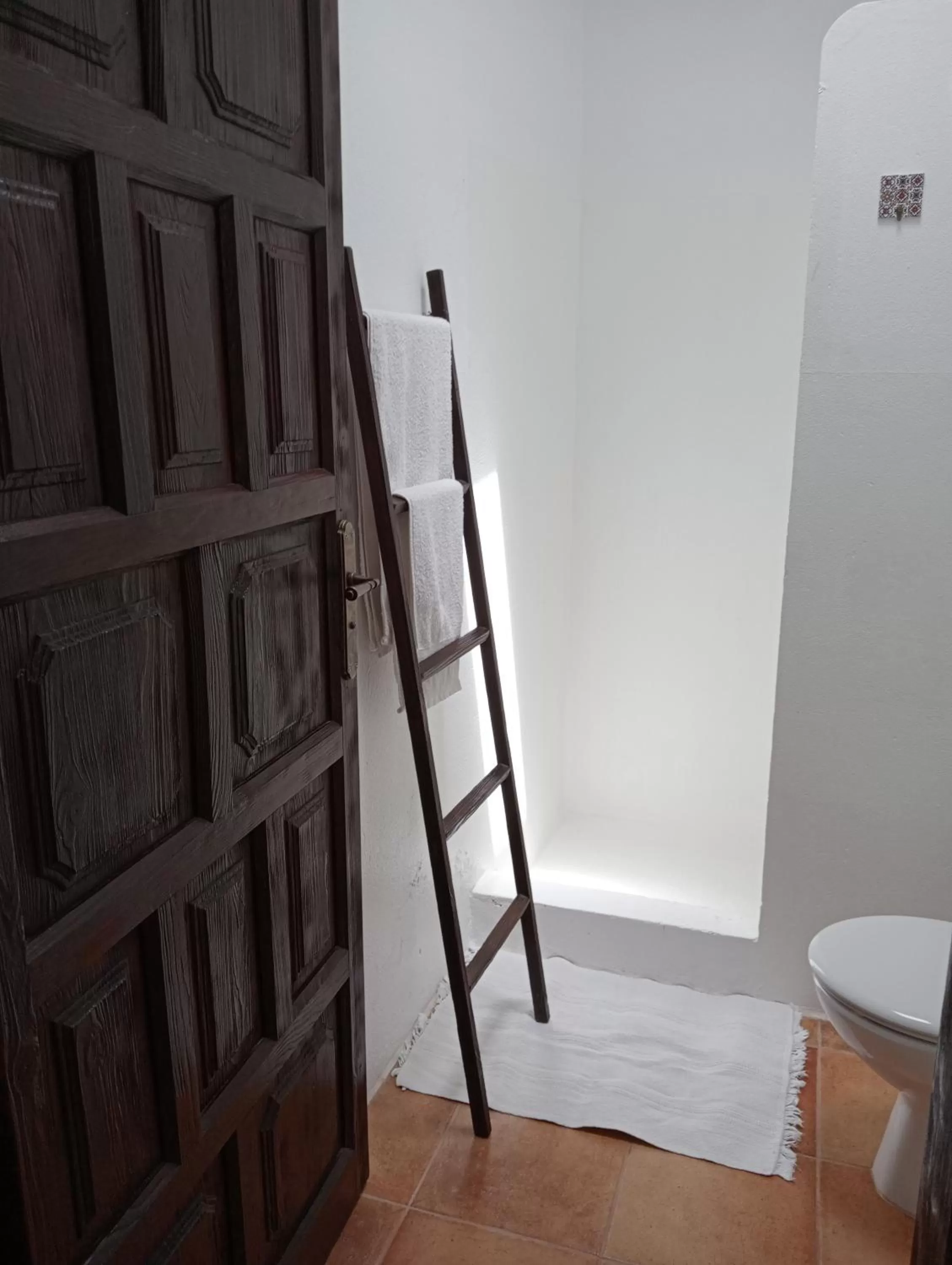 Shower in Casa Mocan