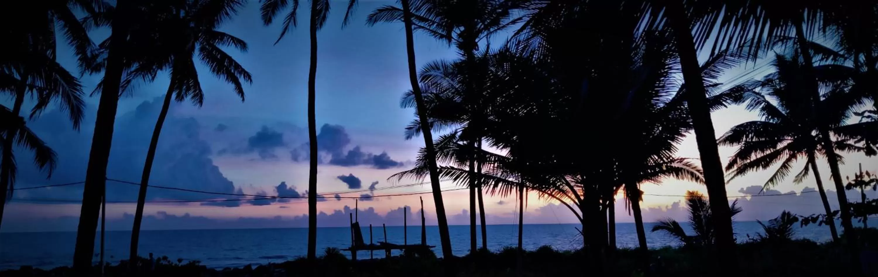 Garden in White Shell Beach House