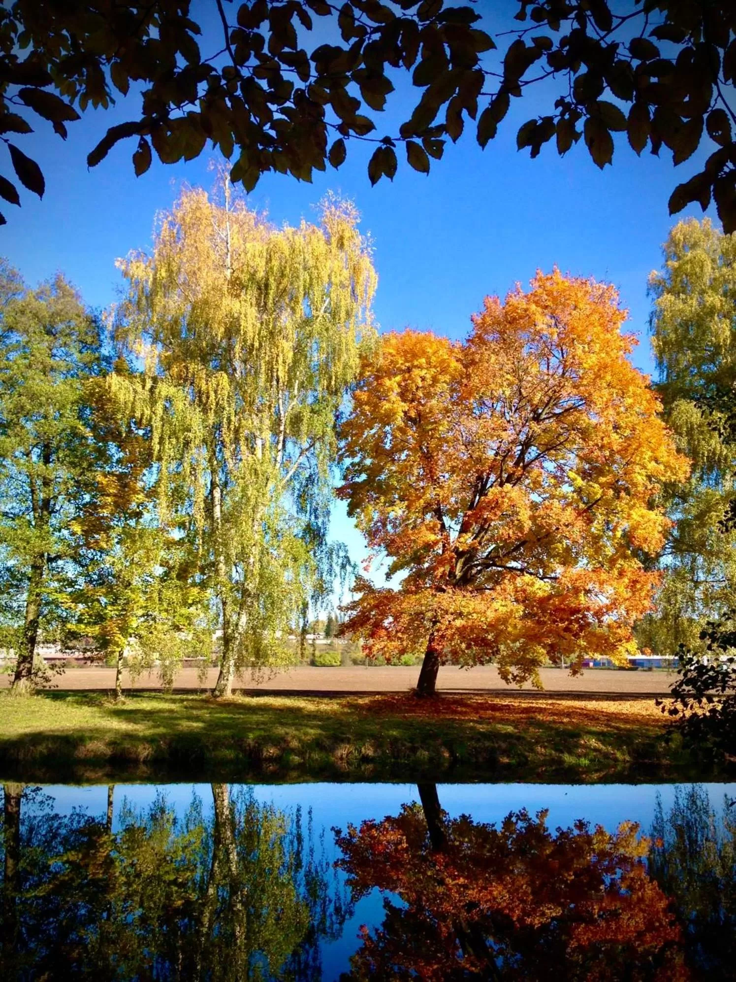 HARABURDI® Recyclart Hotel