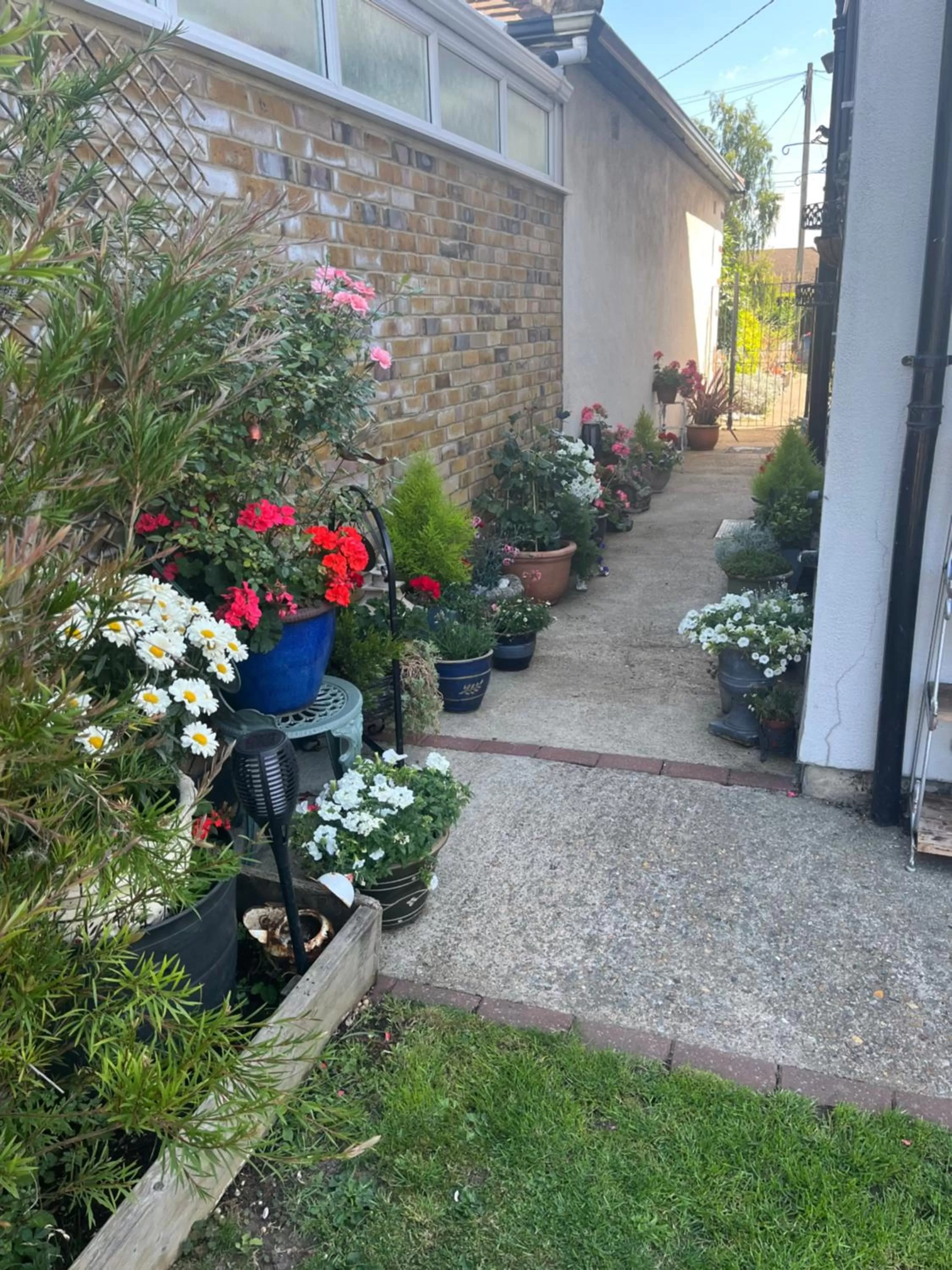 Southend Airport Bed & Breakfast