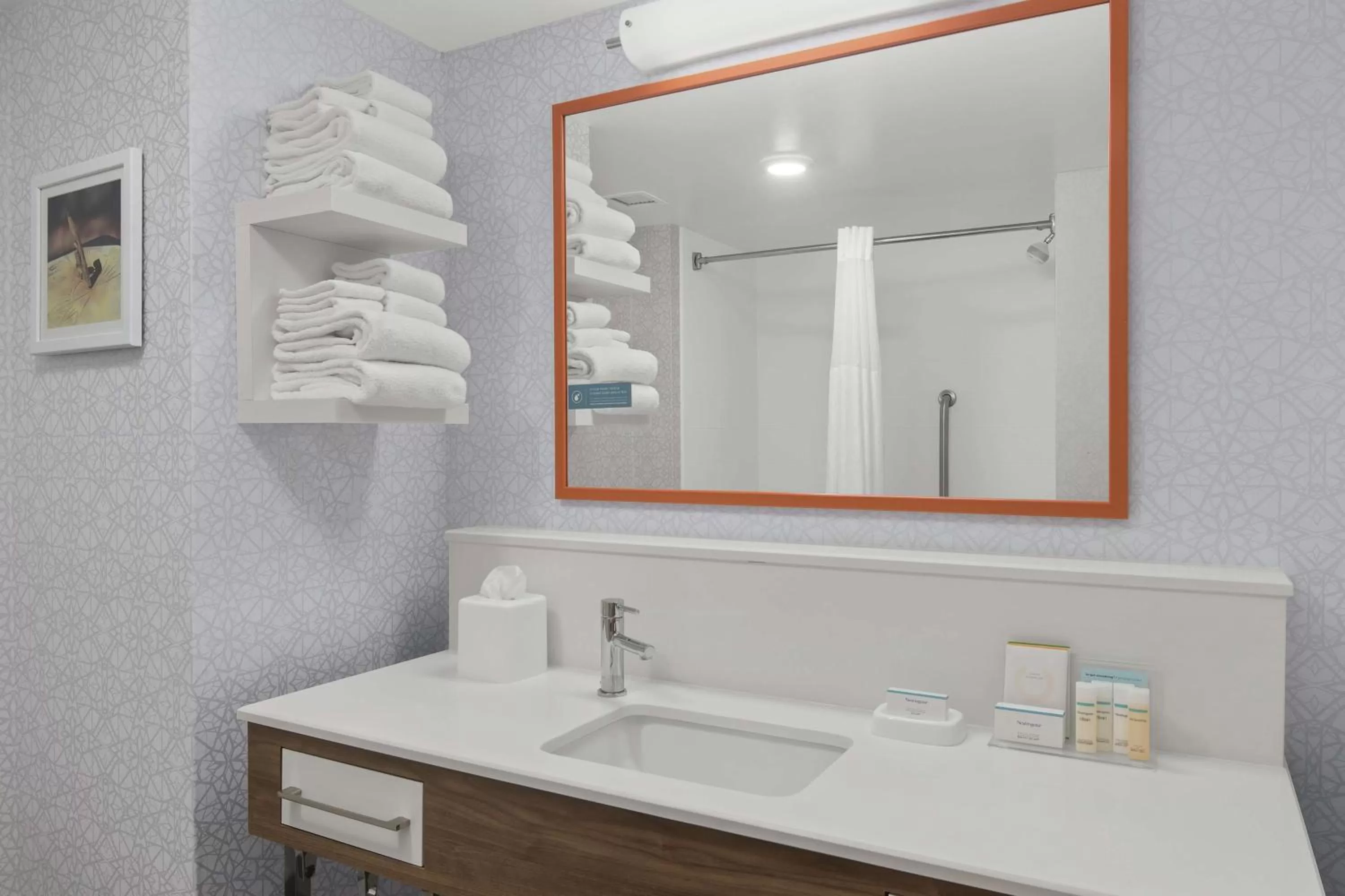 Bathroom in Hampton Inn & Suites Macon I-75 North