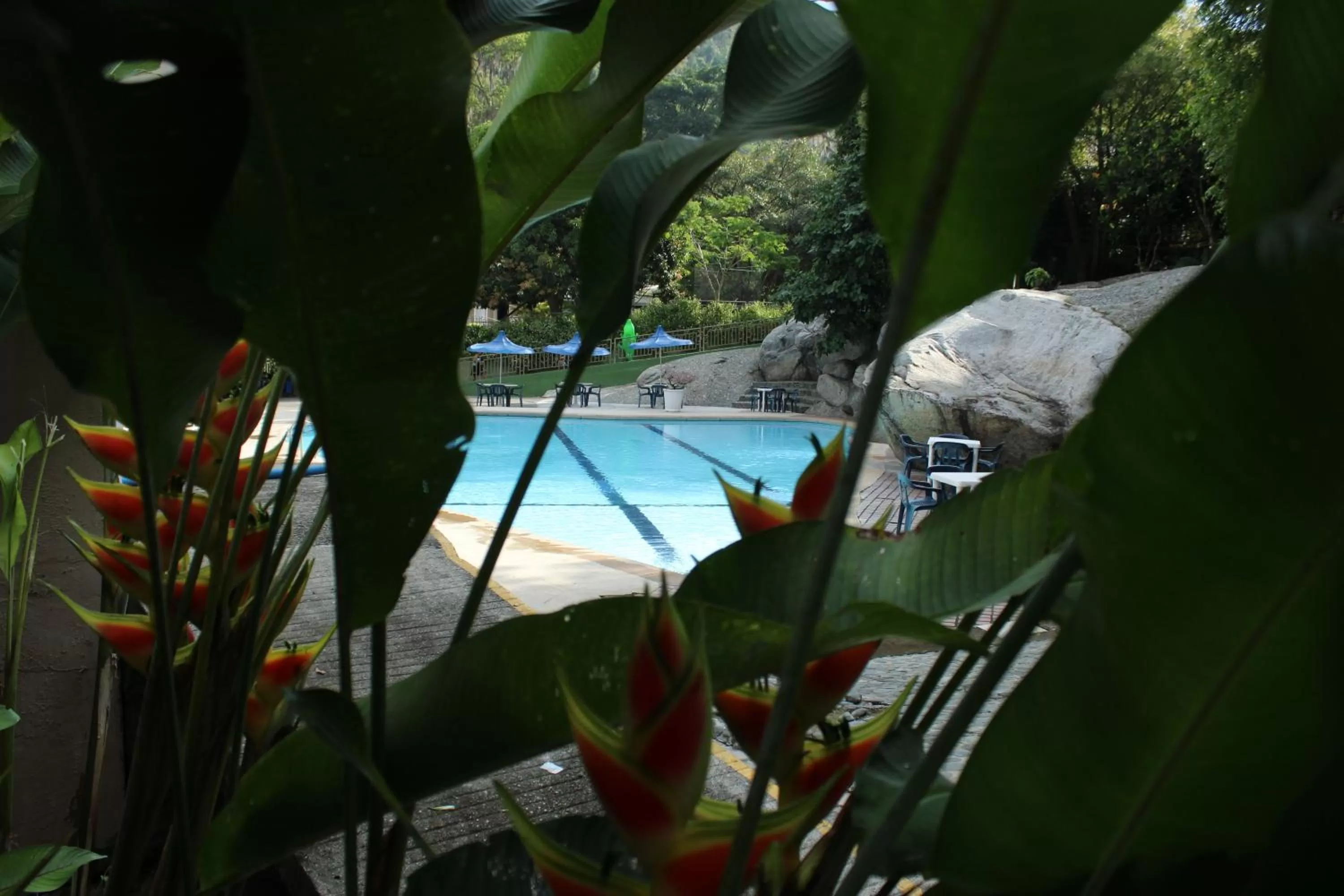 Pool view, Swimming Pool in Rio Escondido