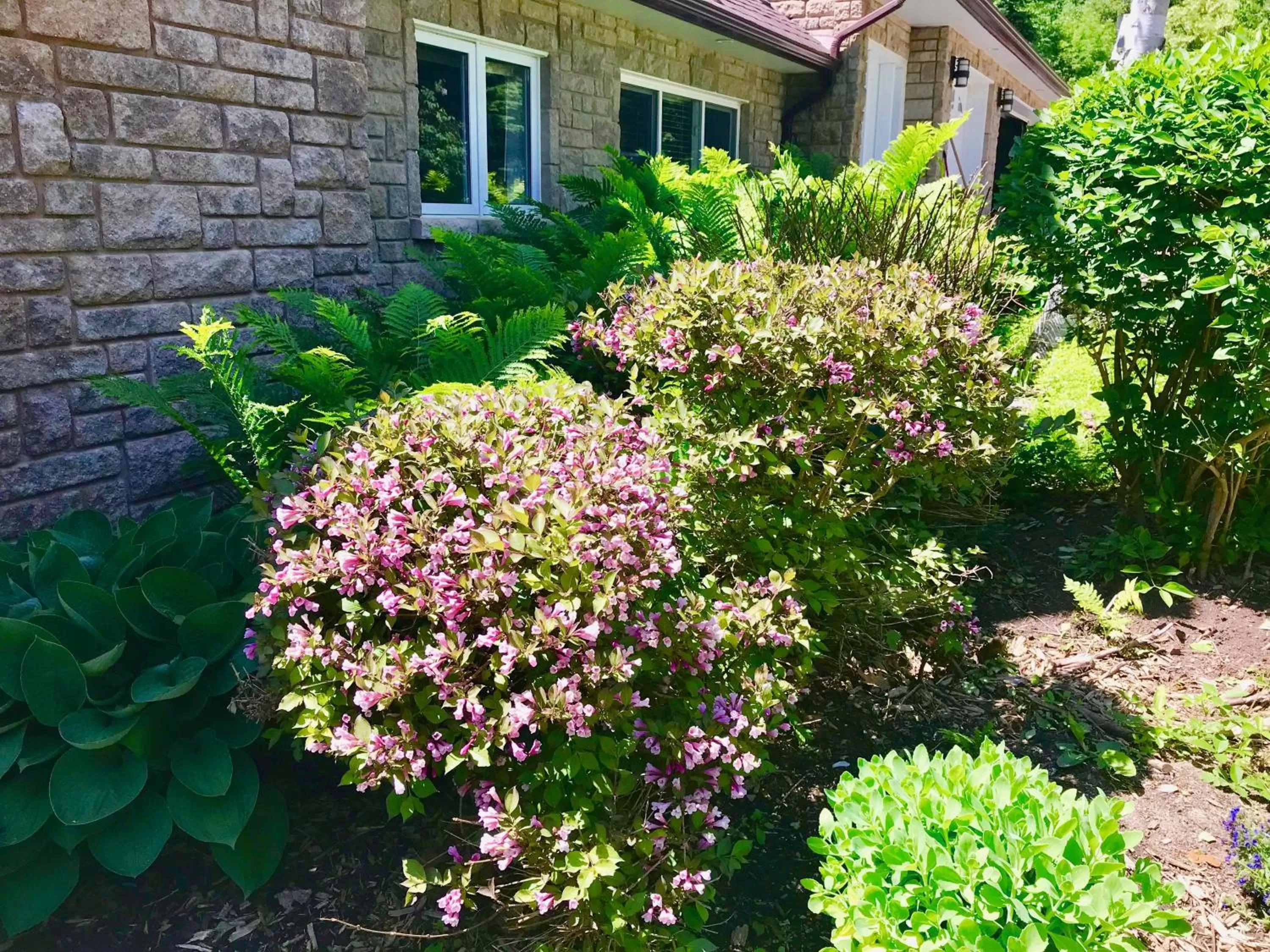 Facade/entrance, Garden in Auberge Tom B&B