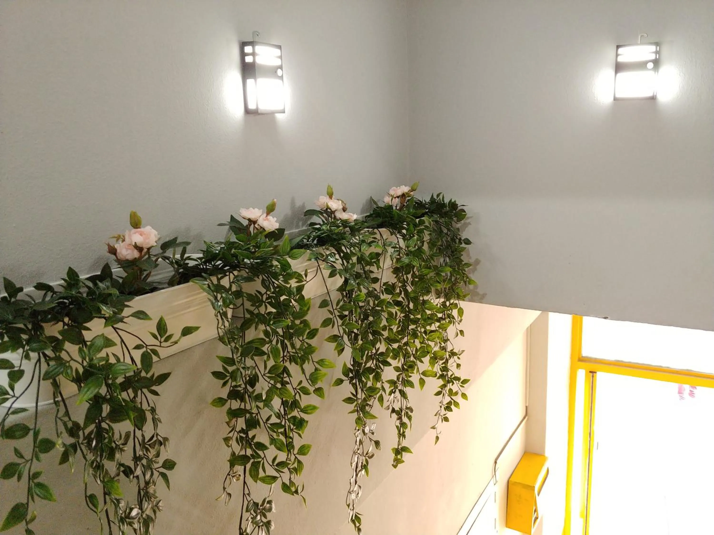 Area and facilities in Hause Itaewon