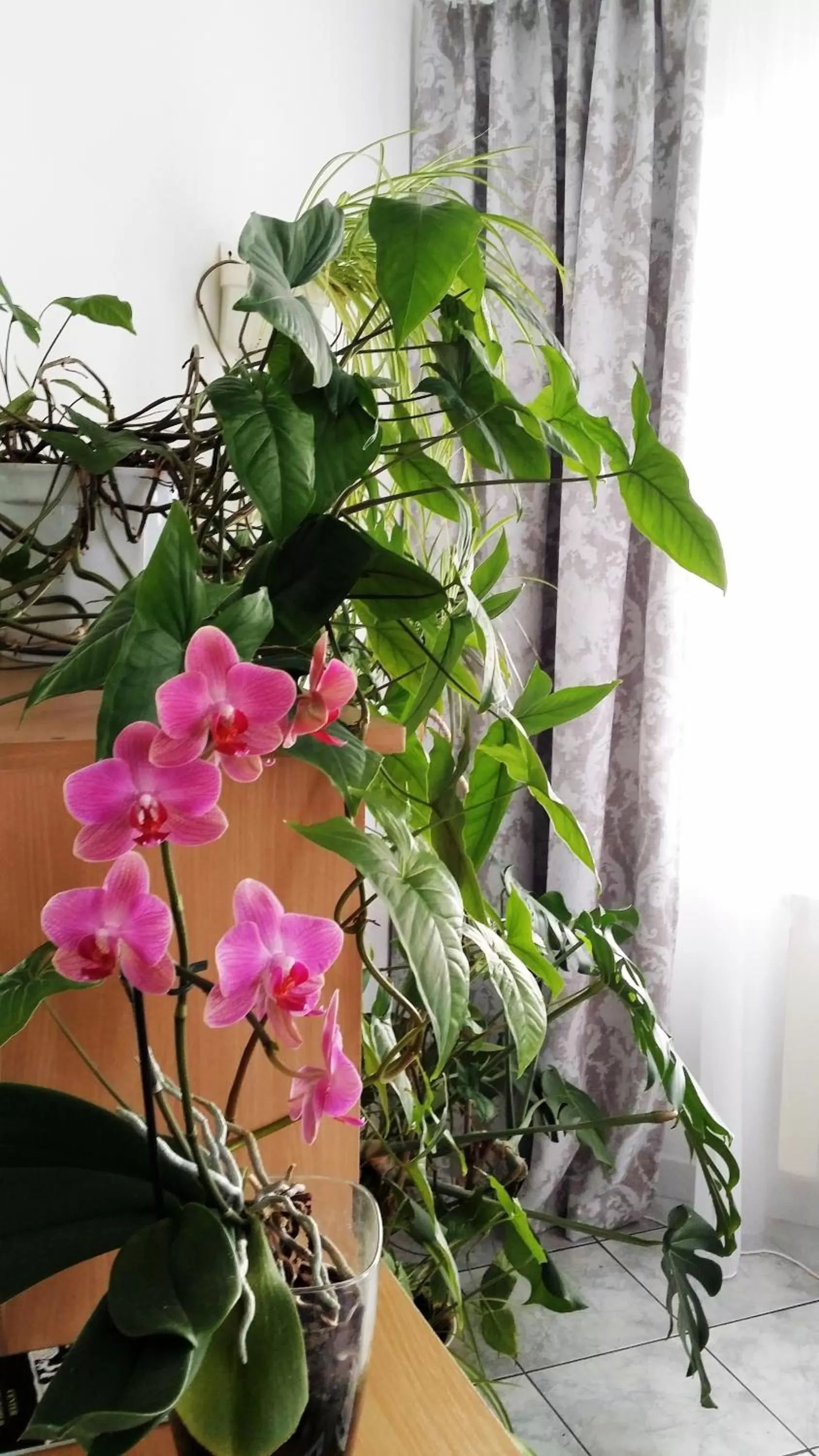 Lobby or reception in Hotel As