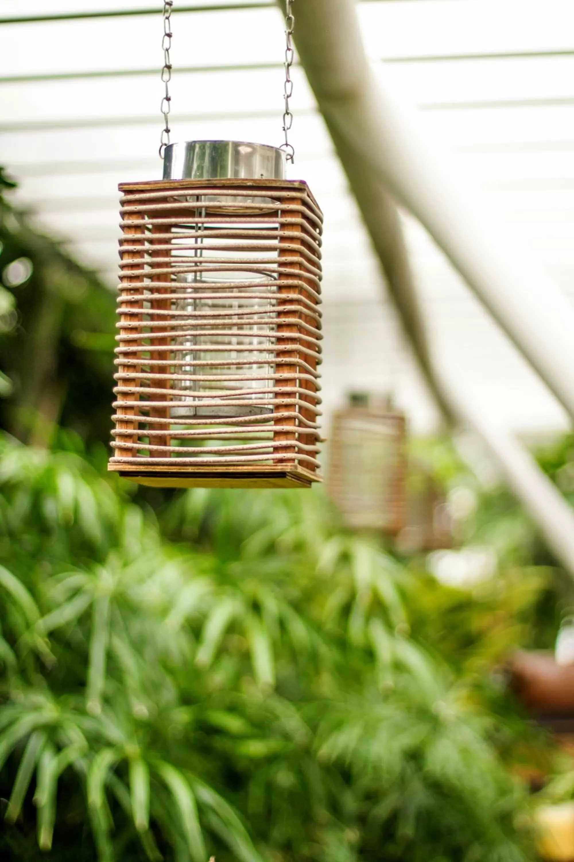 Garden in La Riviera Hotel