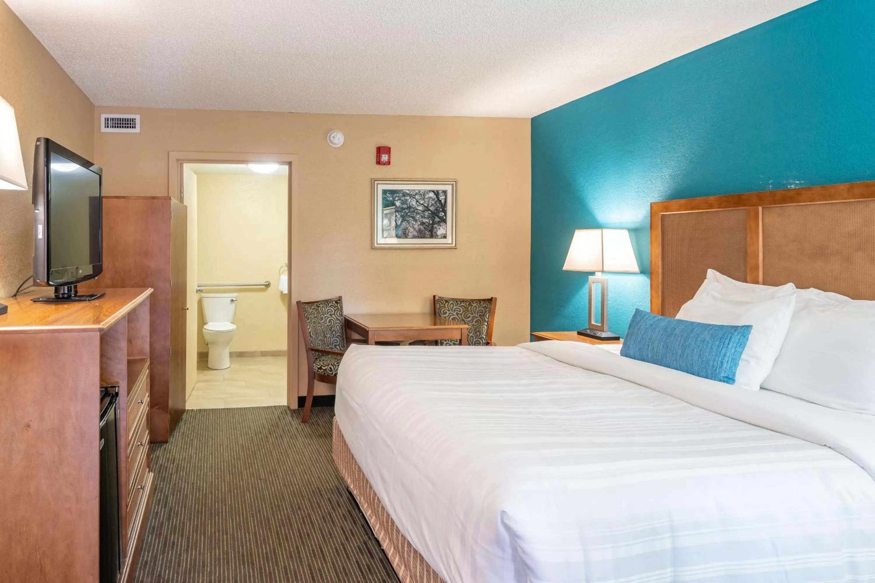 King Room with Roll-In Shower - Disability Access/Non-Smoking in Best Western Charleston Inn