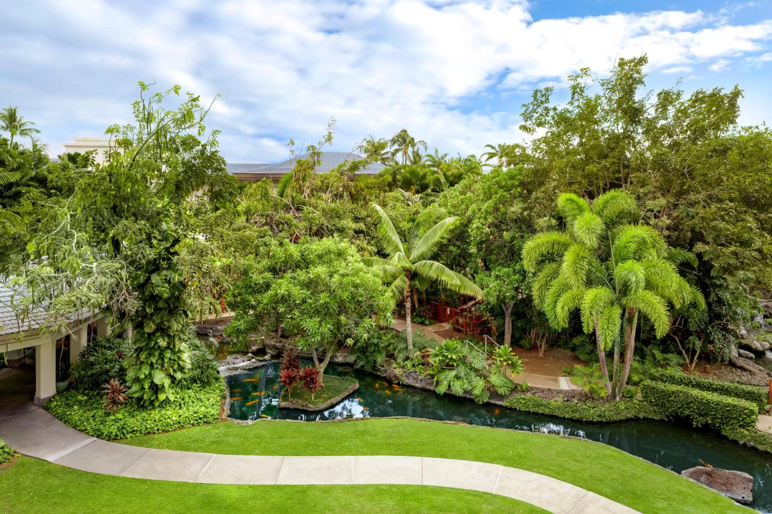 Garden view in Fairmont Orchid